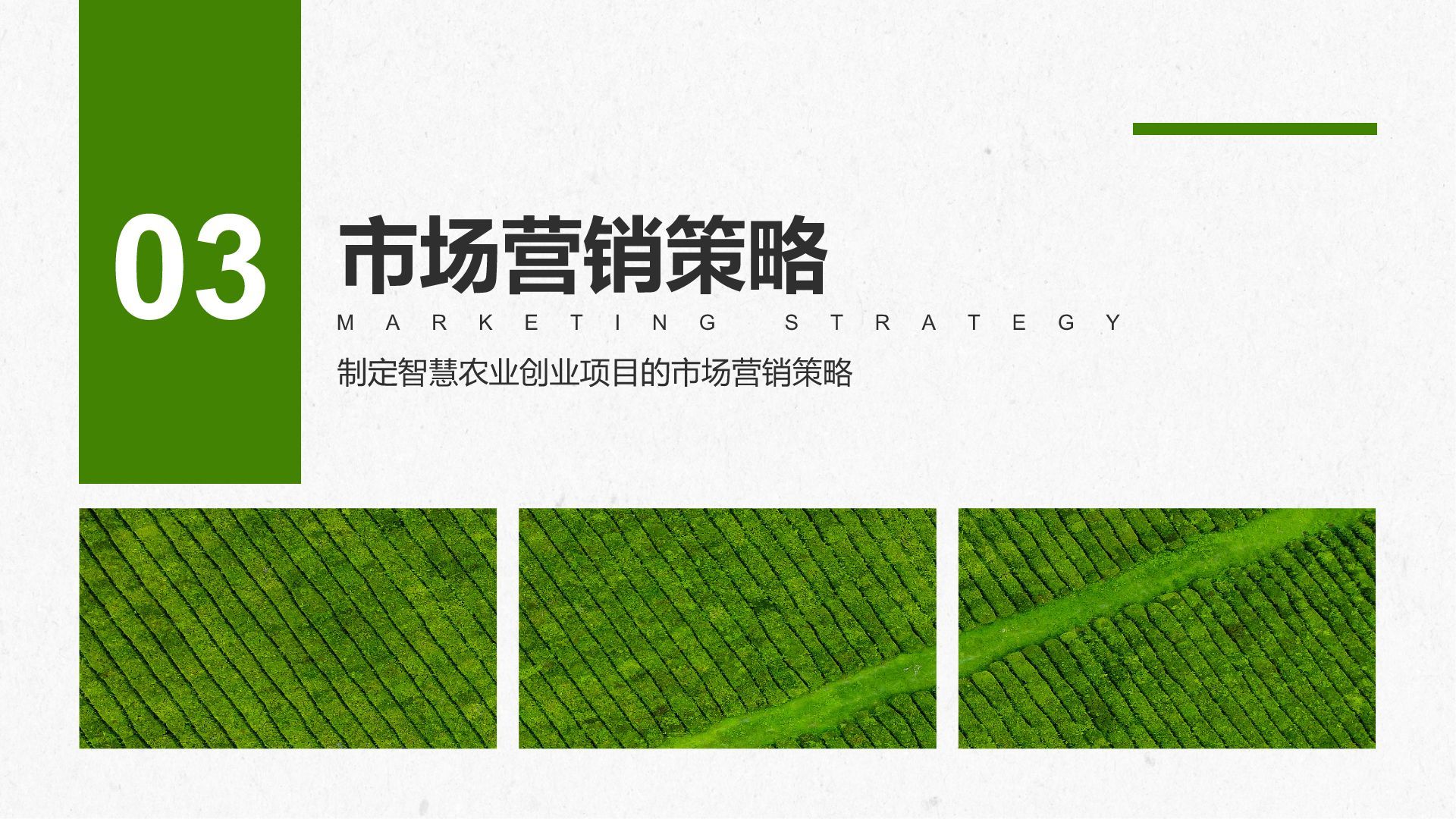 绿色商务风智慧农业创业计划书PPT模板
