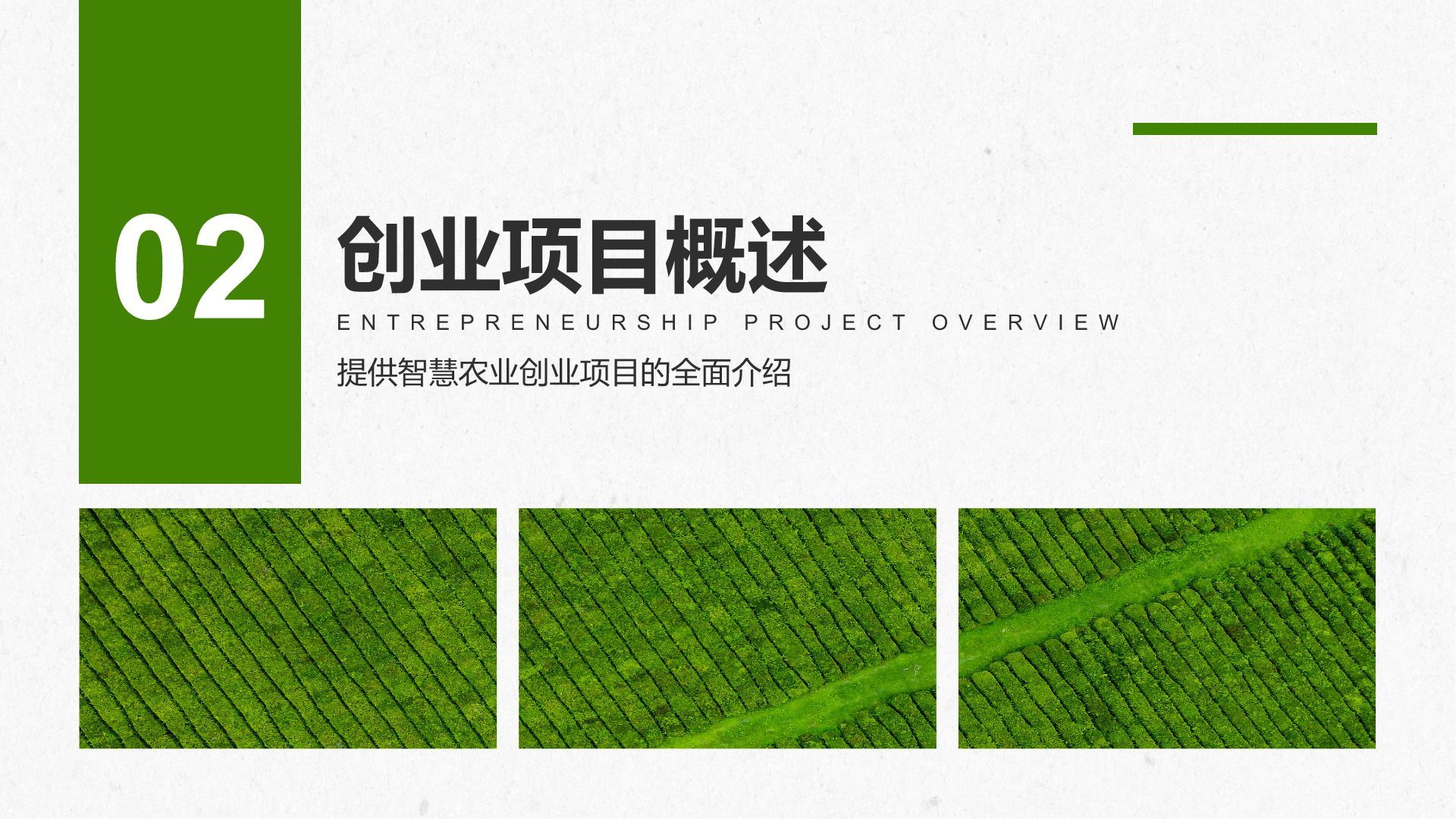 绿色商务风智慧农业创业计划书PPT模板