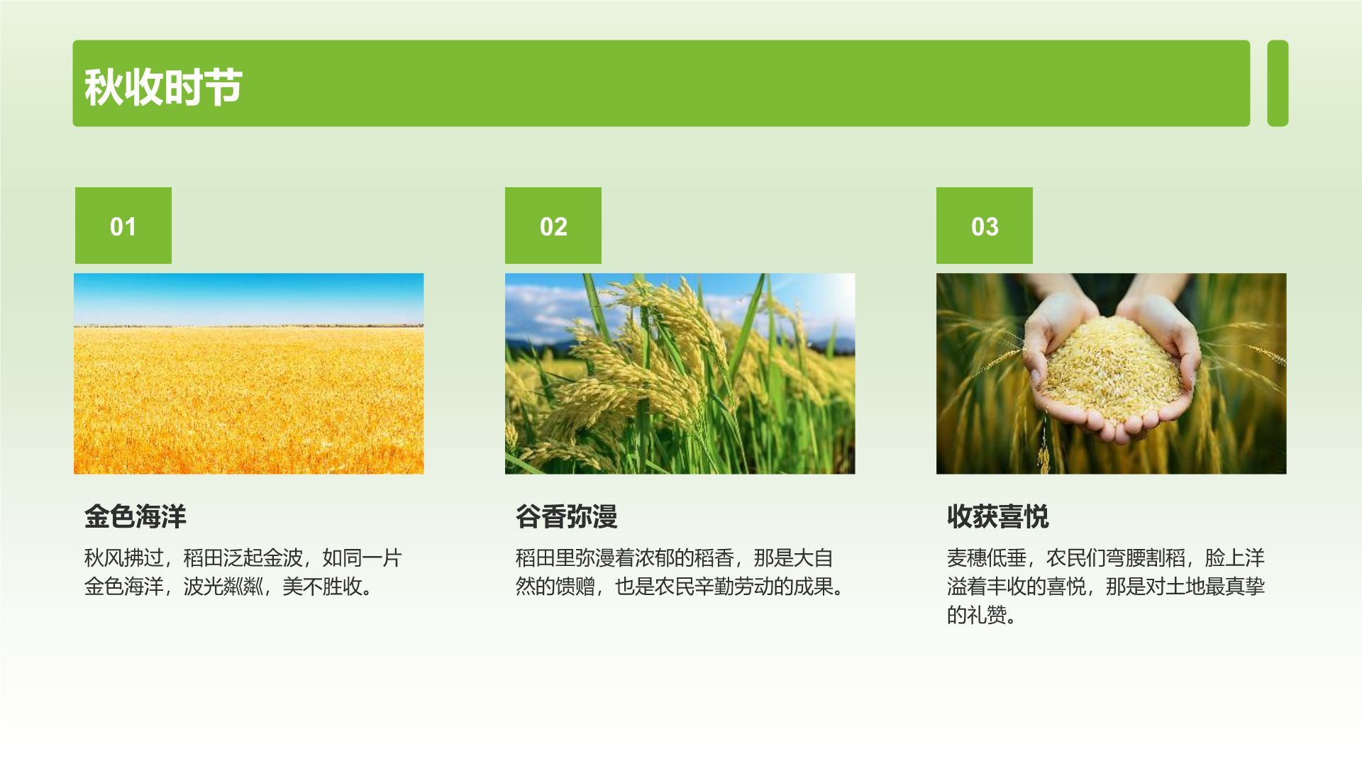 绿色摄影风山水田园梦：家乡旅游印象集PPT模板