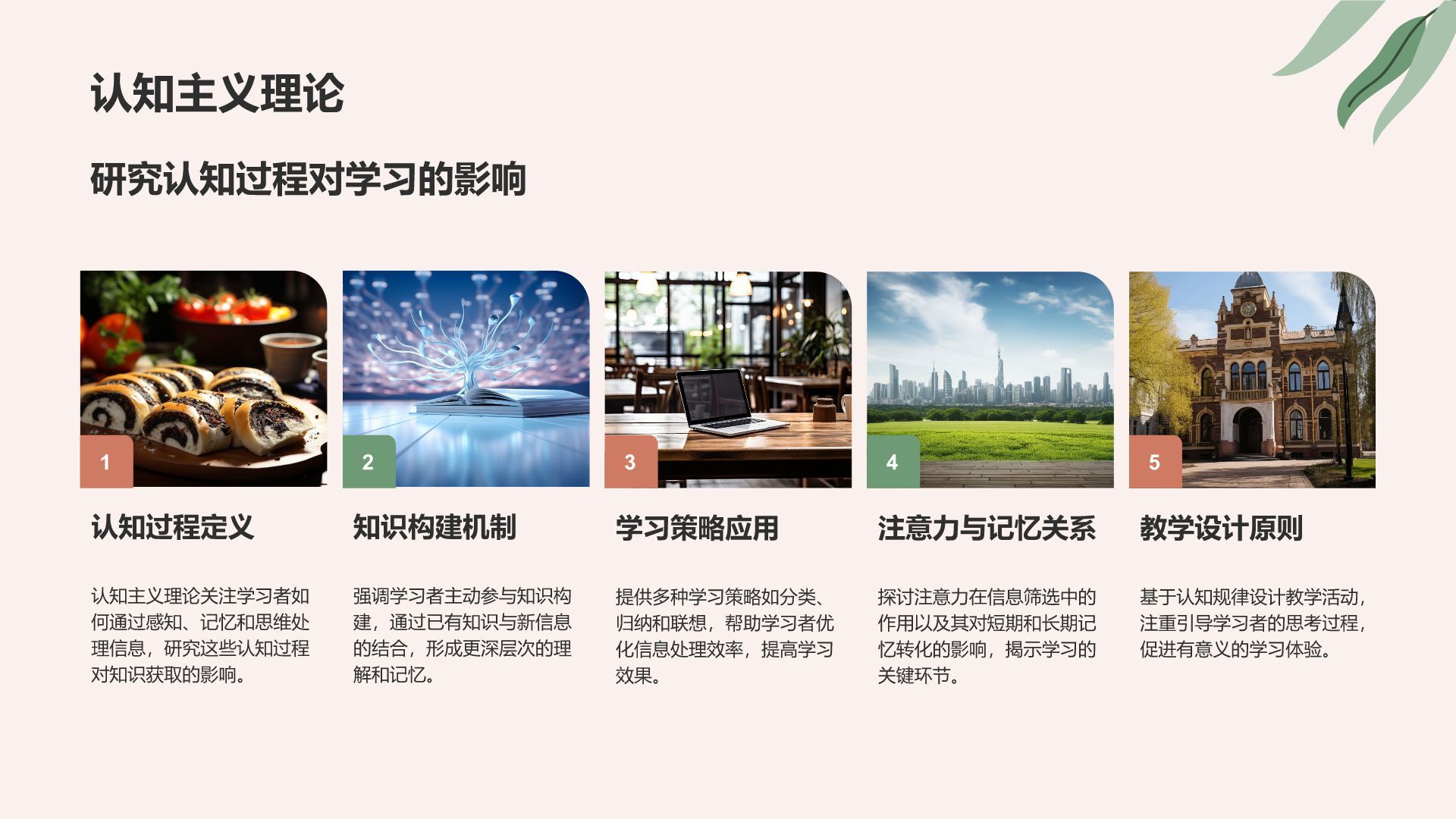 红色小清新教育培训知识科普PPT模板