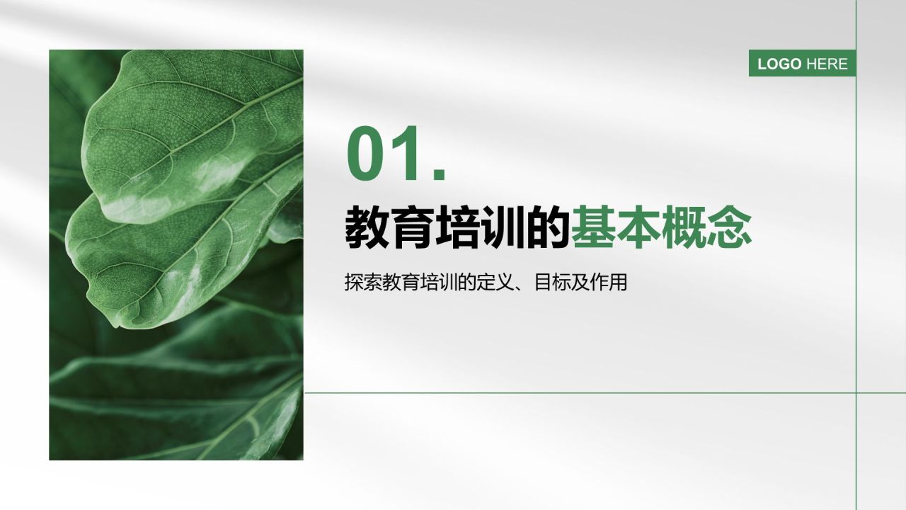 绿色小清新教育培训知识科普PPT模板