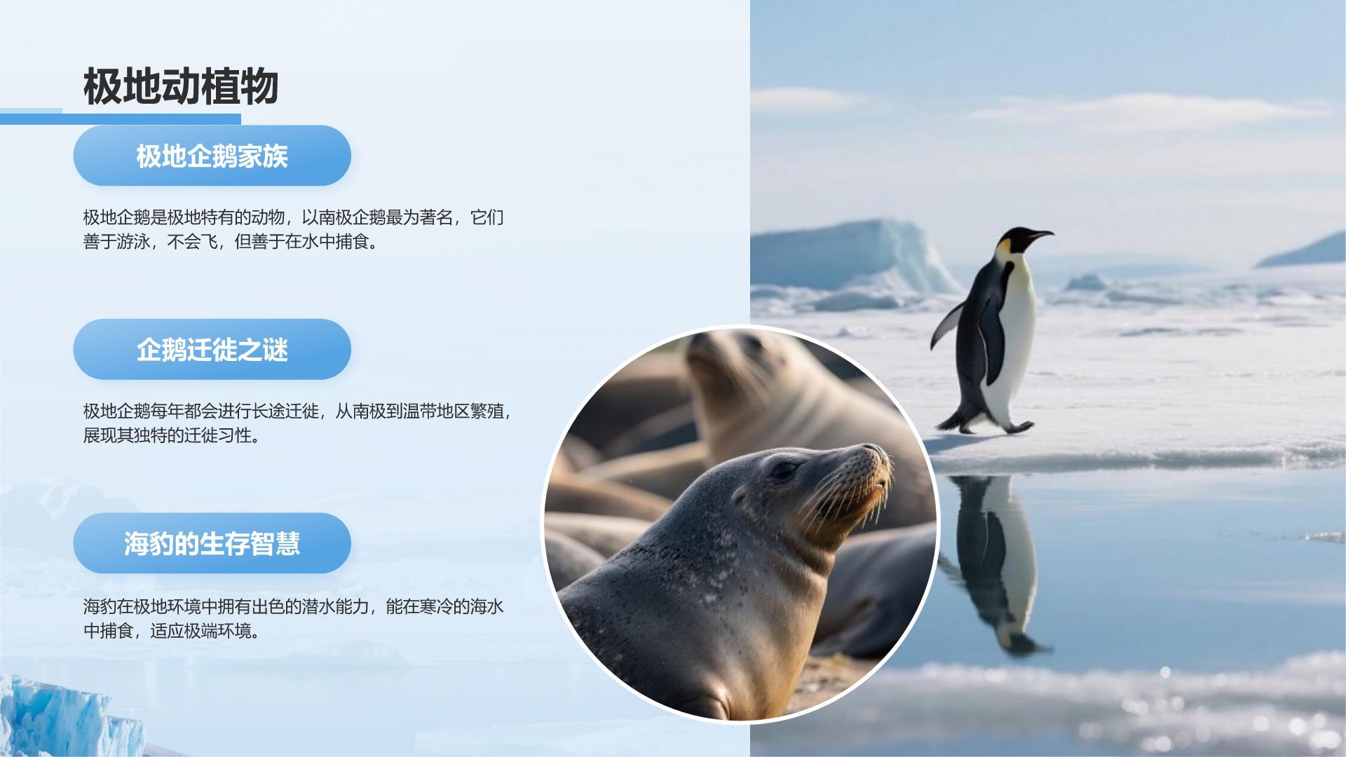 蓝色摄影风极地旅行必备知识与安全指南PPT模板