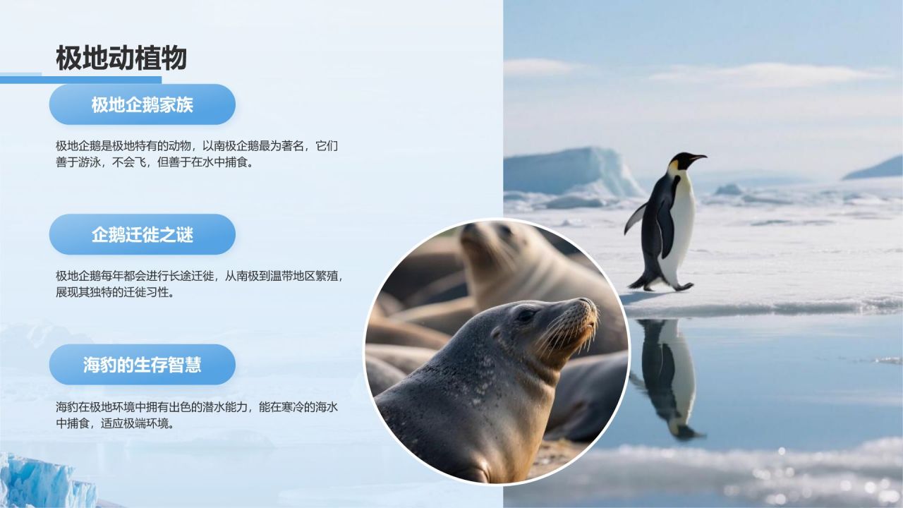 蓝色摄影风极地旅行必备知识与安全指南PPT模板