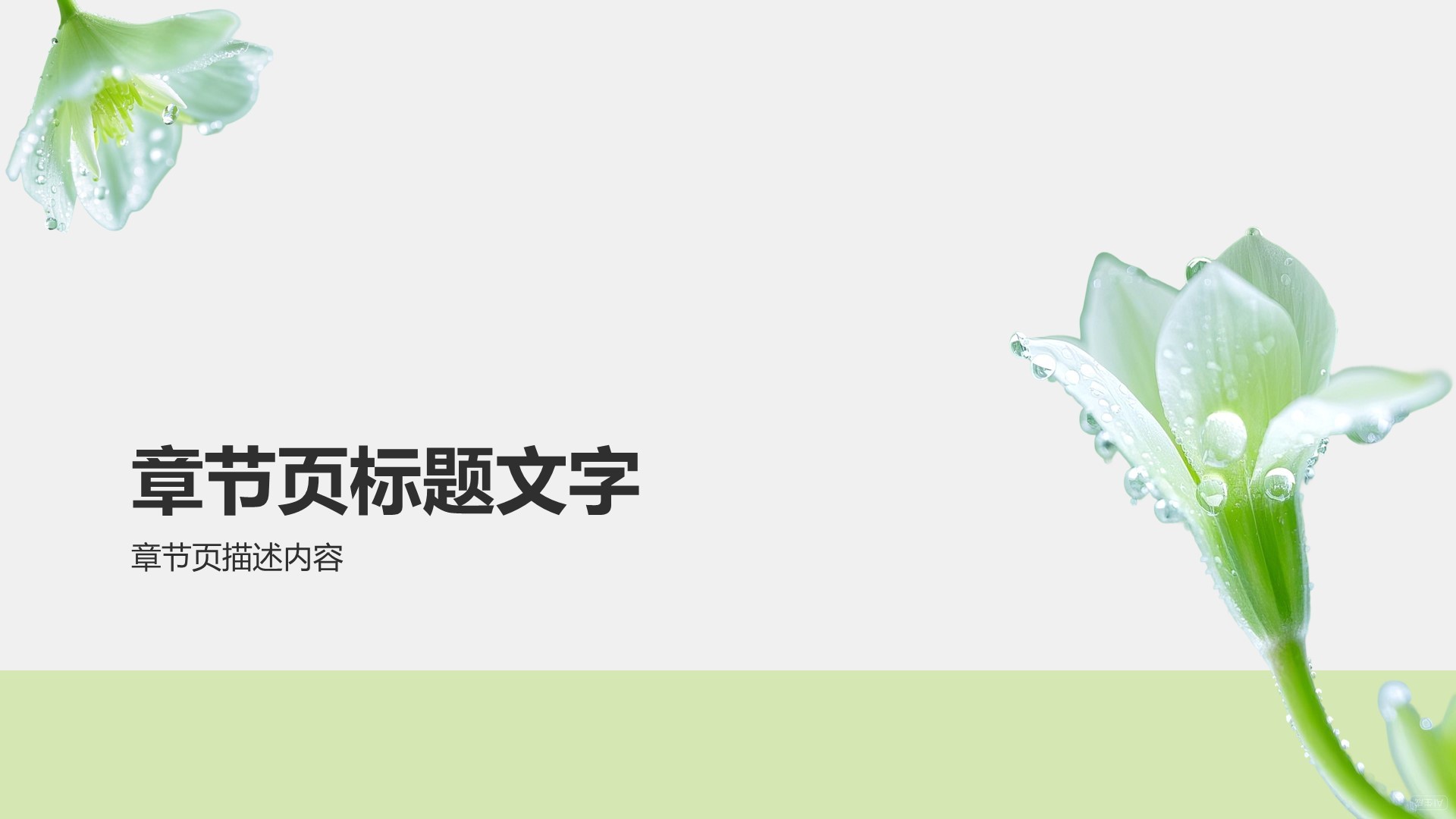 环保公益营销策划PPT主题