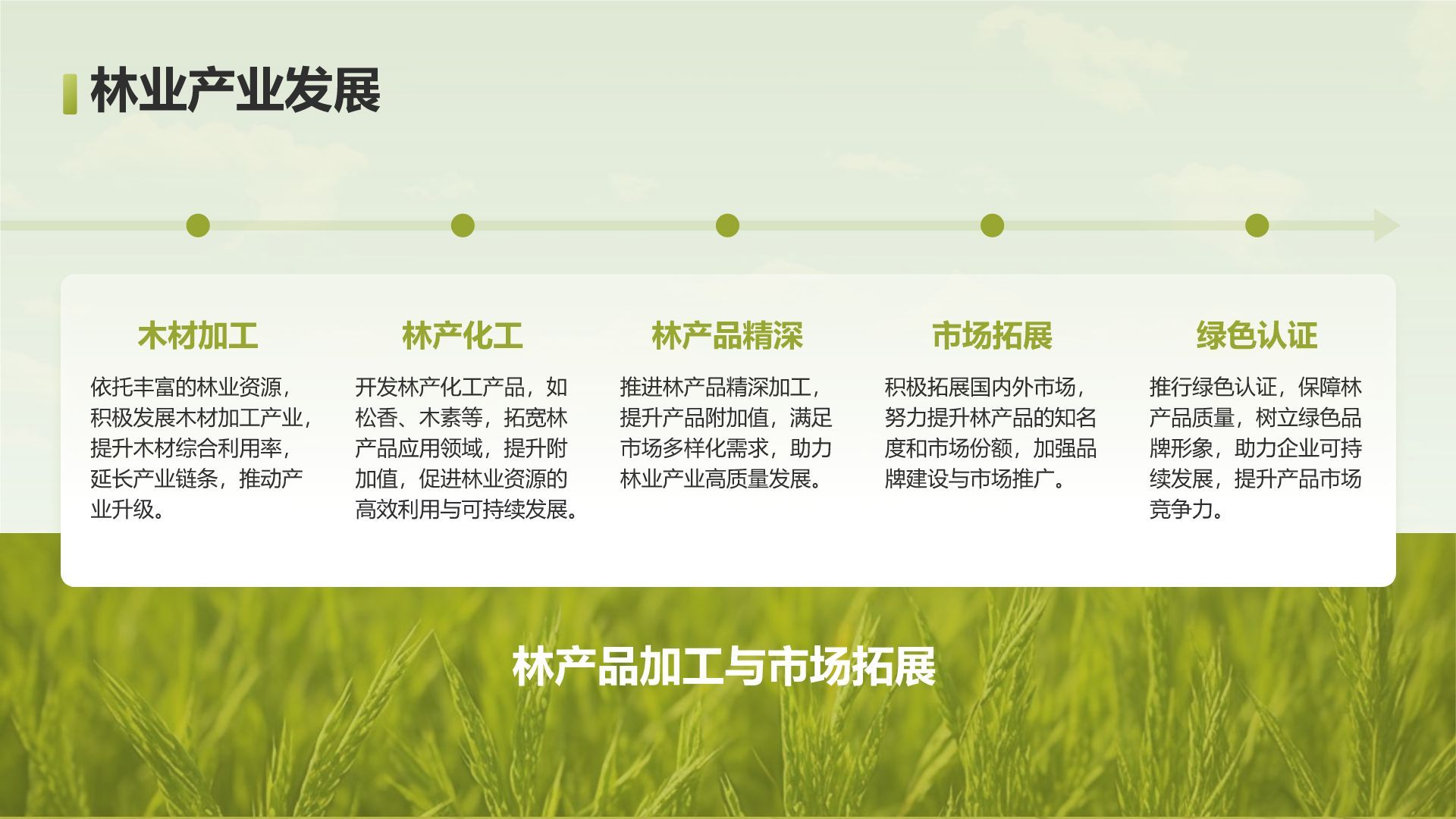 绿色摄影风走进绿水青山的家乡PPT模板