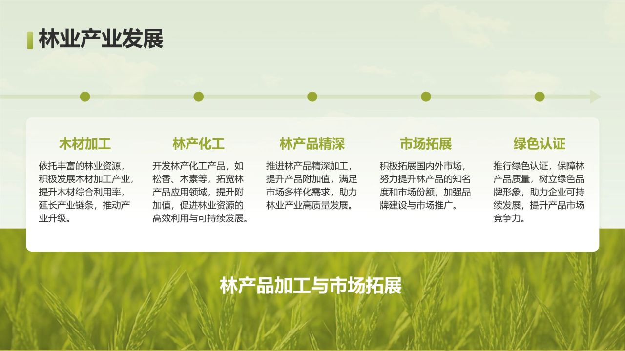 绿色摄影风走进绿水青山的家乡PPT模板