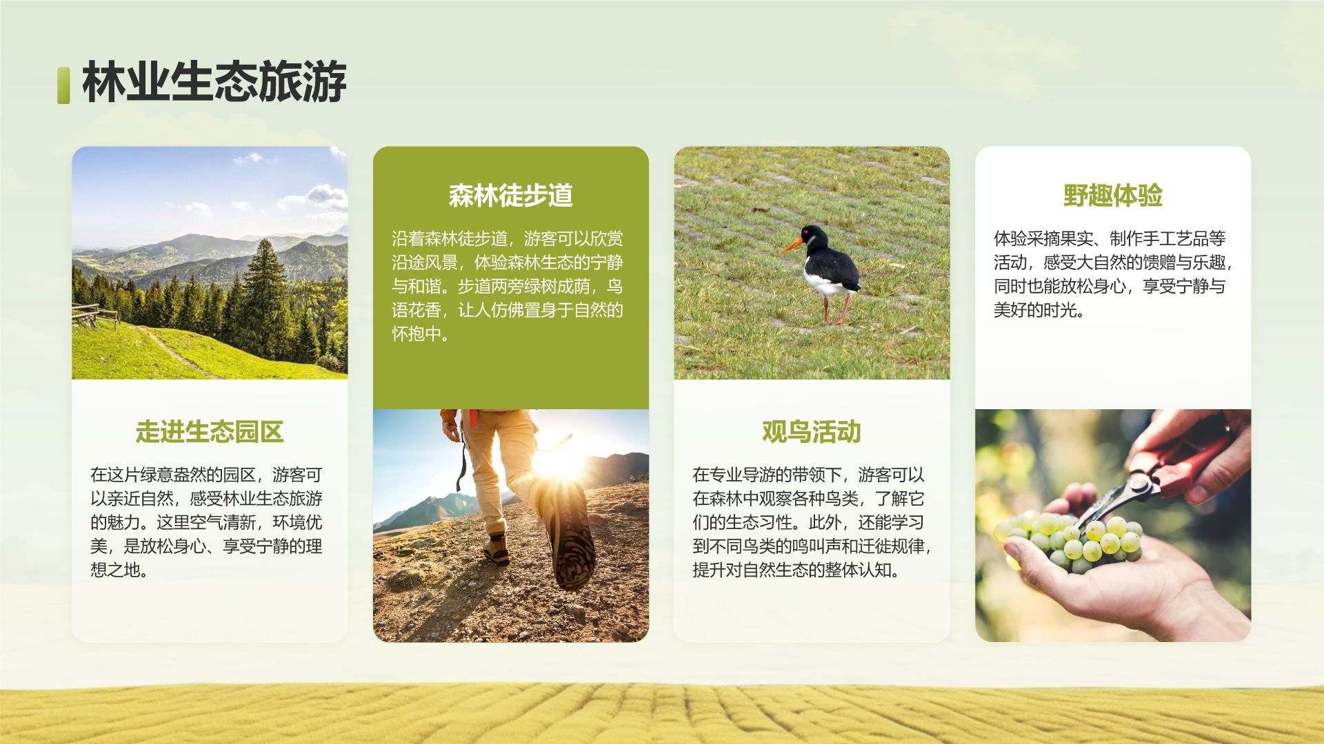绿色摄影风走进绿水青山的家乡PPT模板