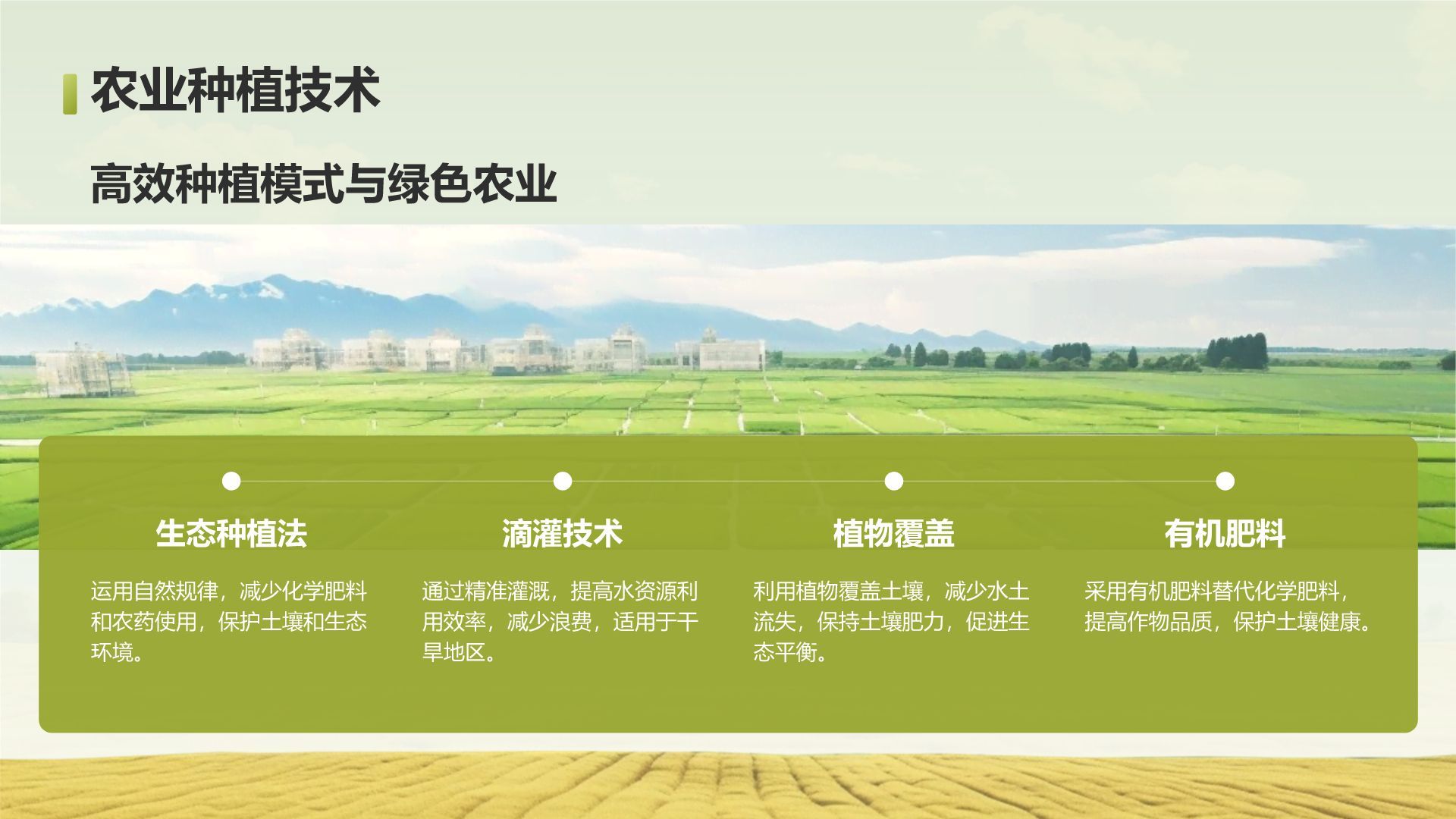 绿色摄影风走进绿水青山的家乡PPT模板