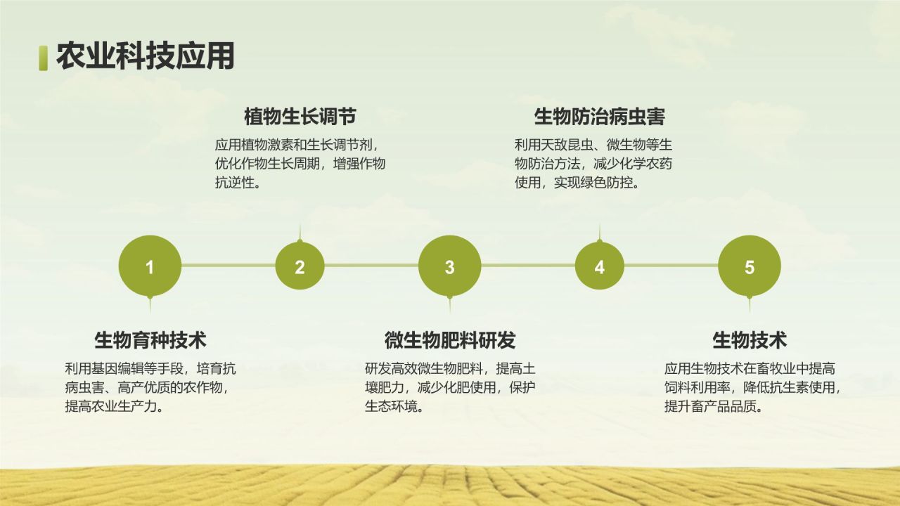 绿色摄影风走进绿水青山的家乡PPT模板