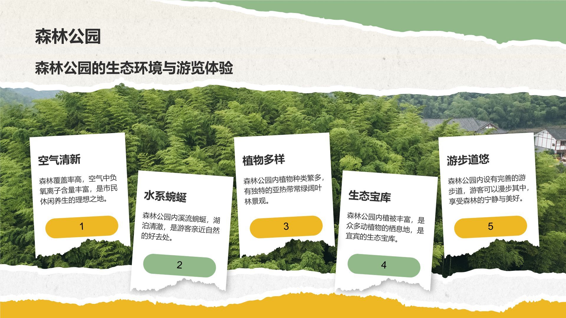 黄色摄影风宜宾美食与自然景观介绍PPT模板
