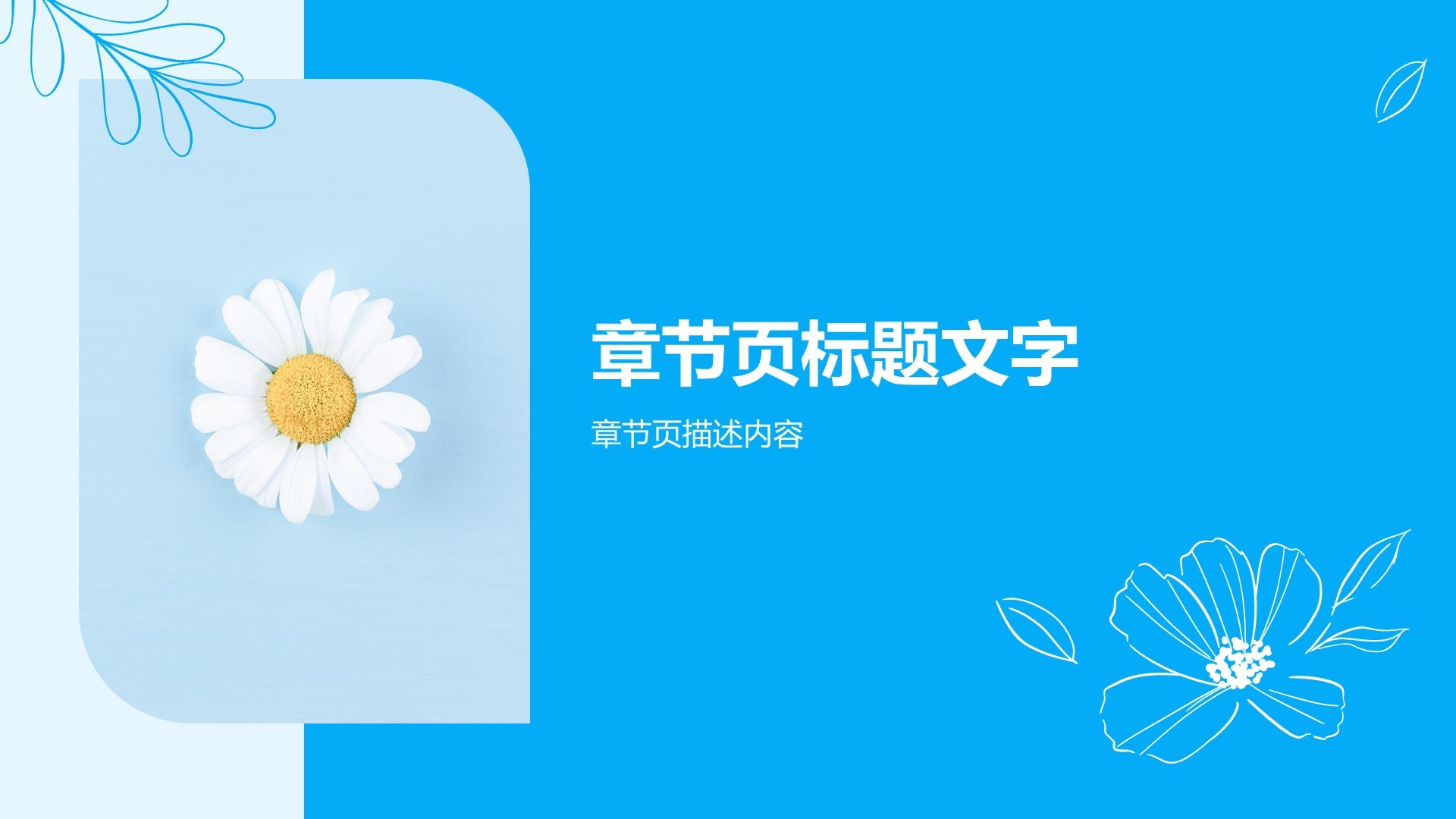 学生健康教育主题班会PPT主题
