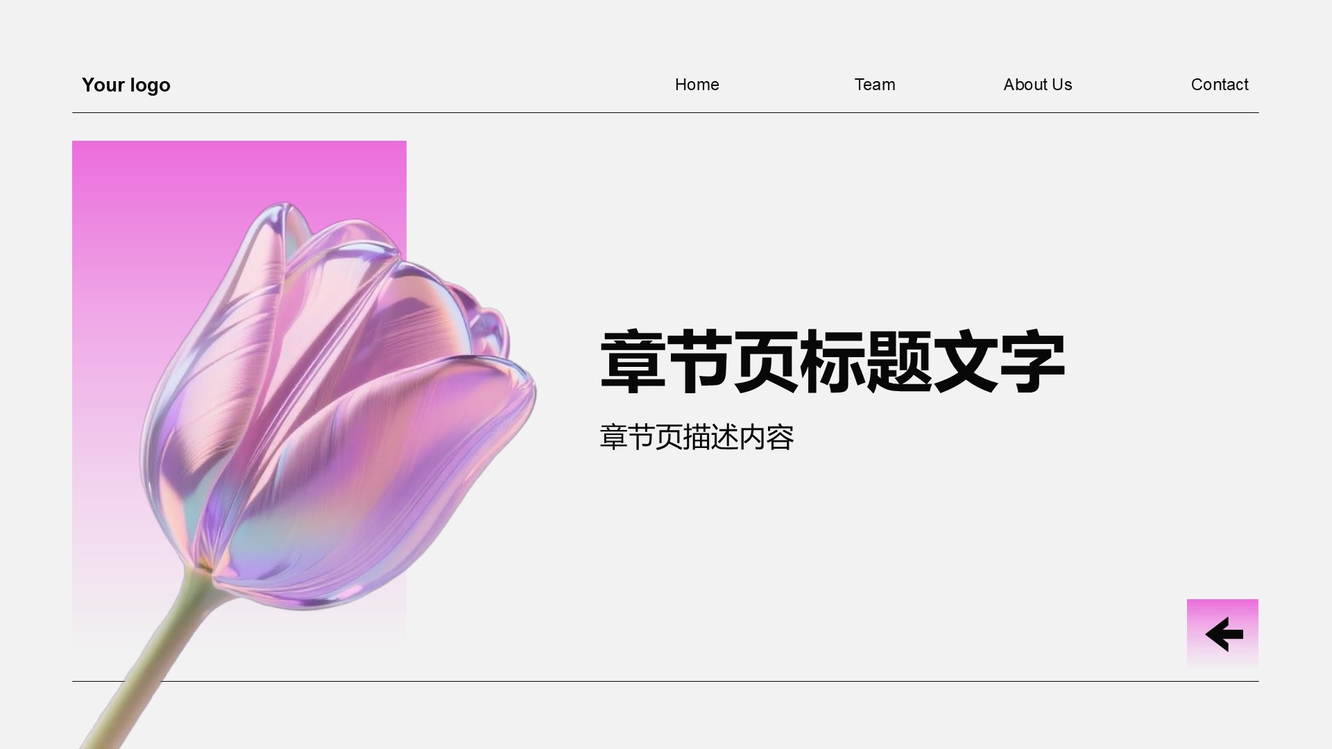 创意广告策划方案PPT主题