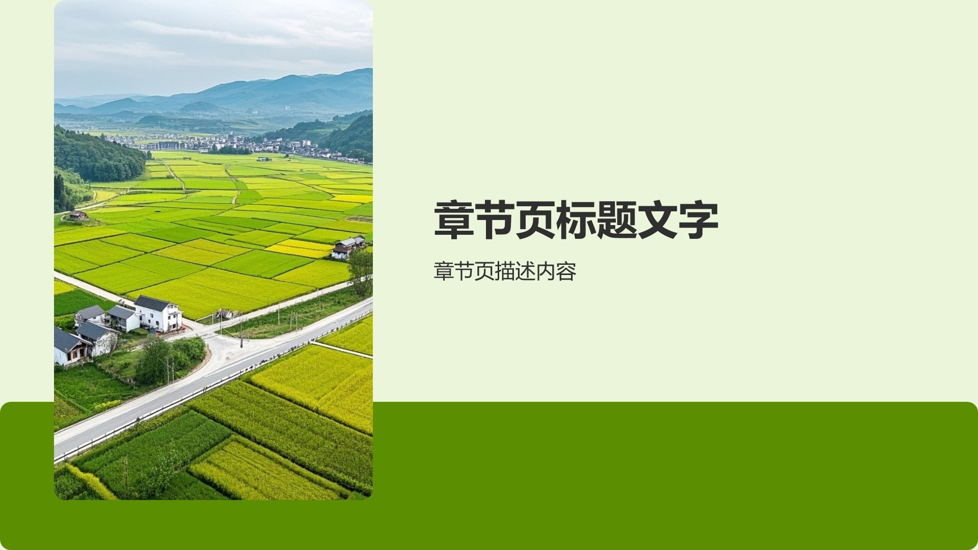 三下乡社会实践阶段性成果汇报PPT