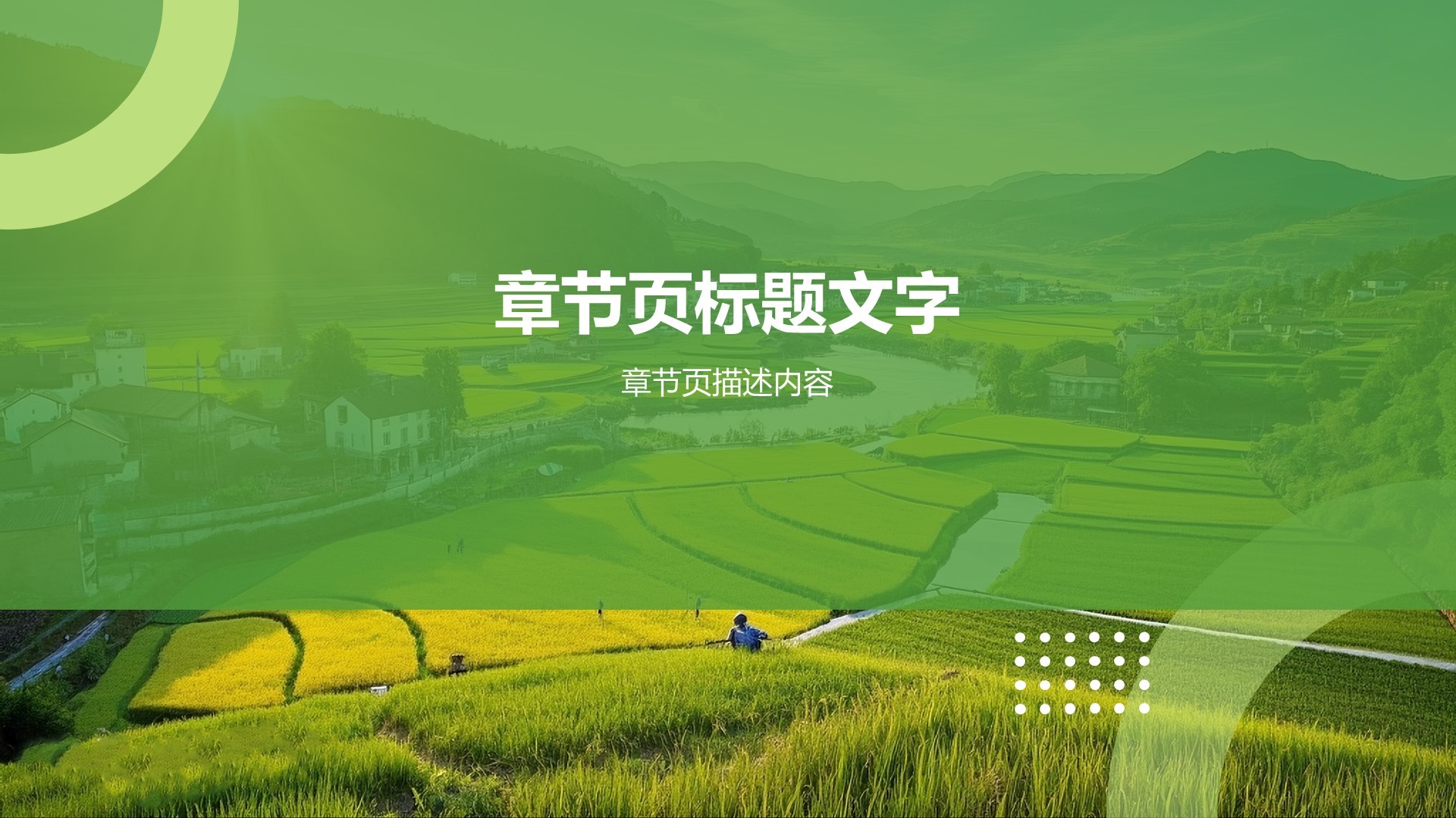 三下乡社会实践汇报PPT主题
