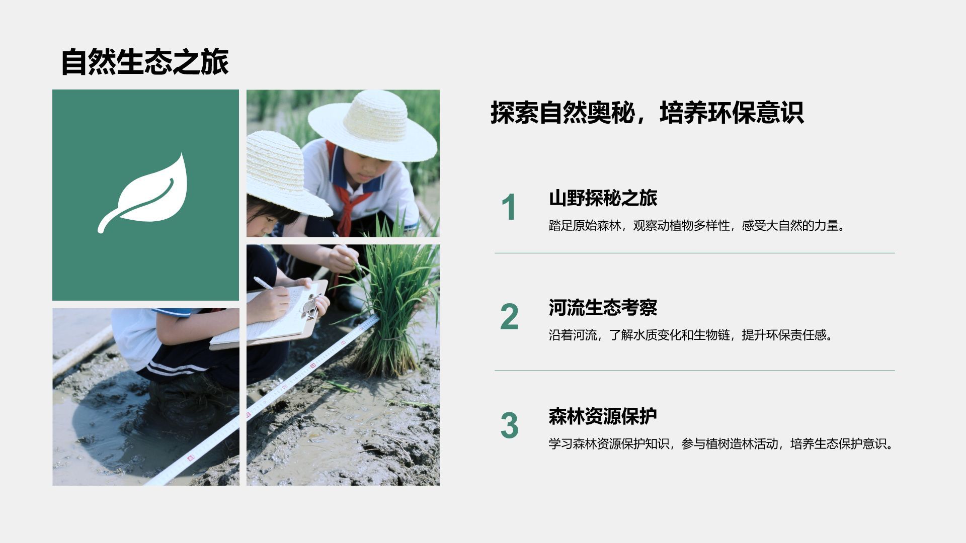绿色商务风研学旅行宣传介绍PPT模板