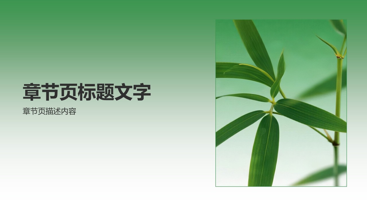 绿色小清新教育培训行业教学课件PPT主题