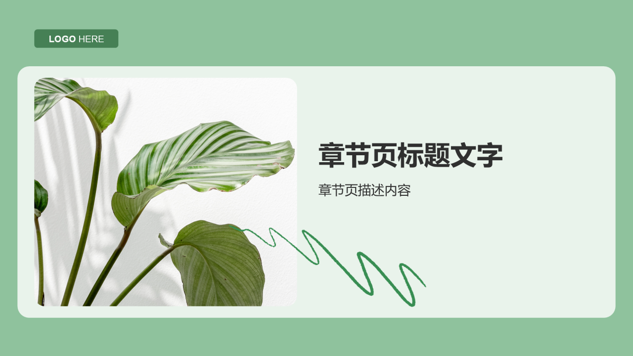 绿色简约风植物介绍PPT主题
