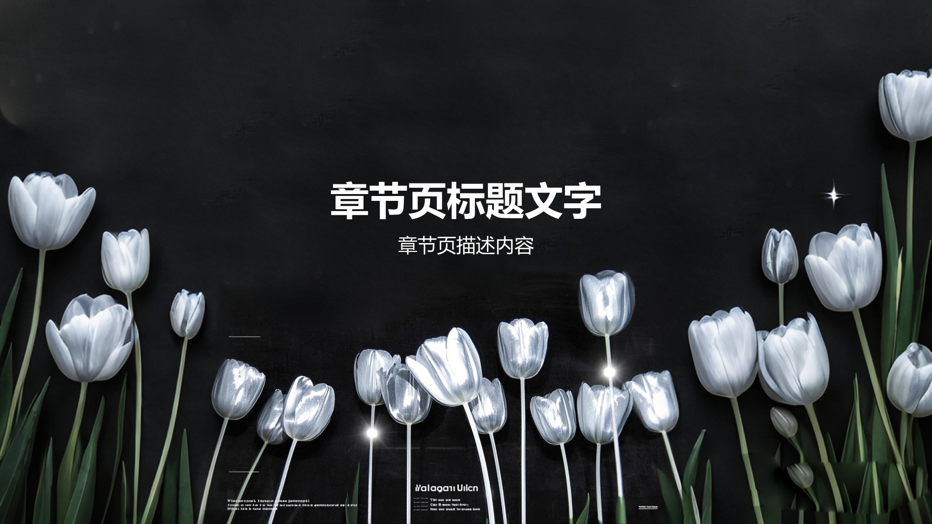 创意风花艺美学发布会PPT