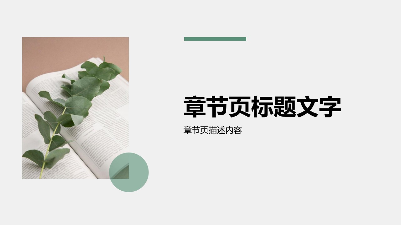 绿色青志协志愿服务活动宣传