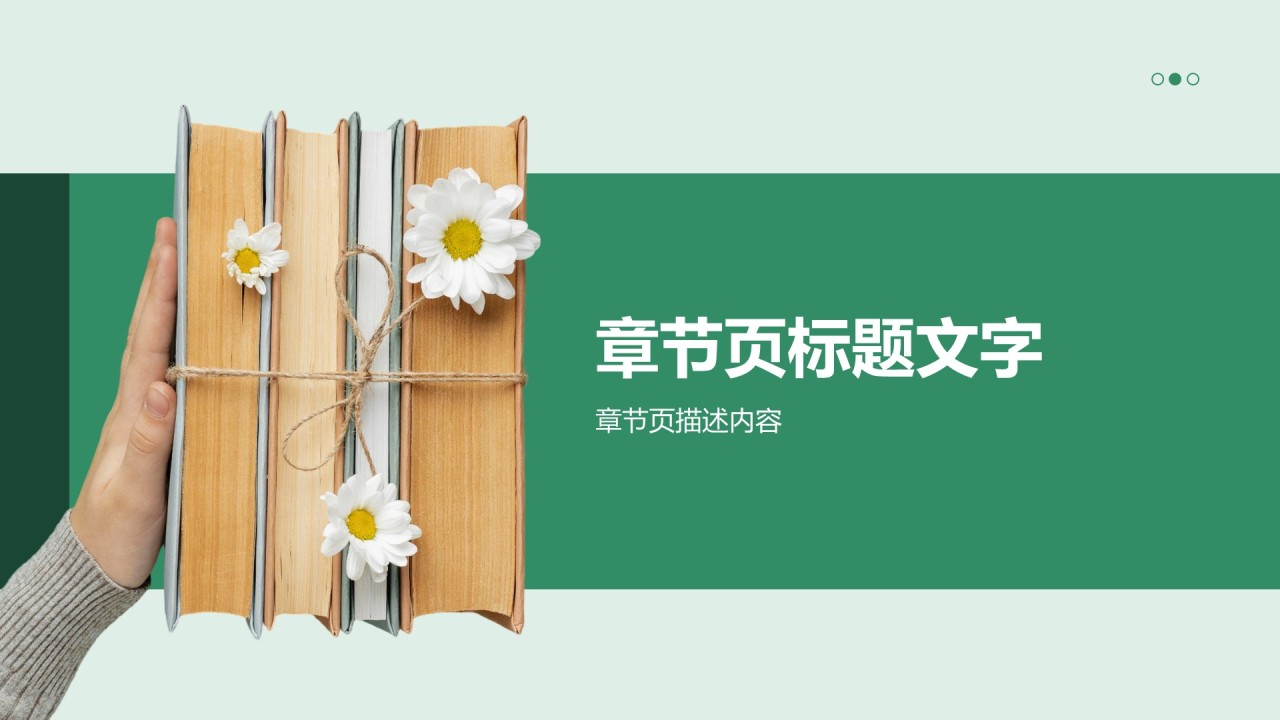 教育实践项目阶段汇报PPT主题