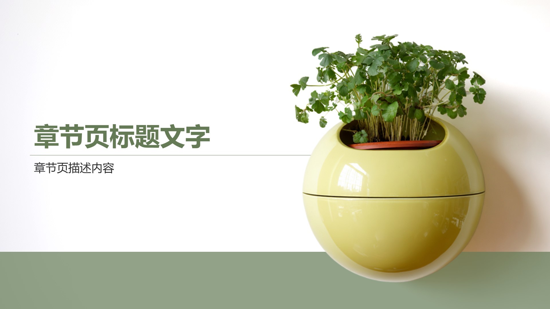 绿色清新教育培训PPT主题