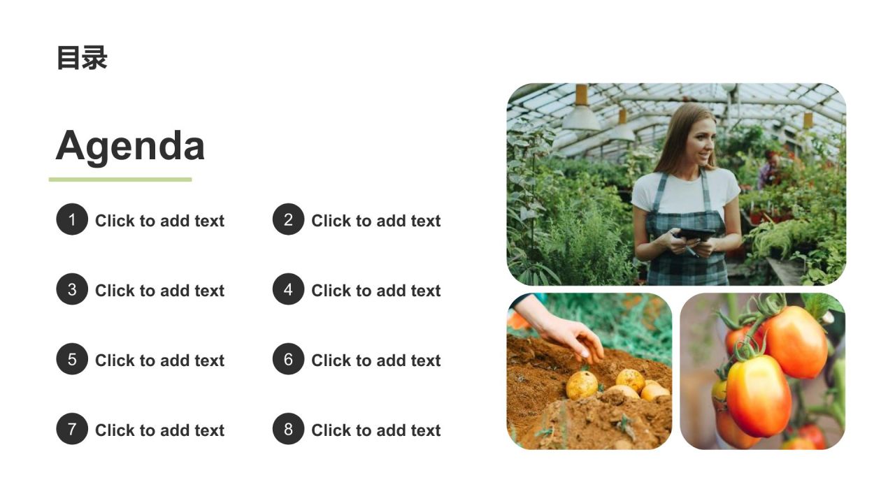 绿色简约风现代农业发展研究报告PPT模板