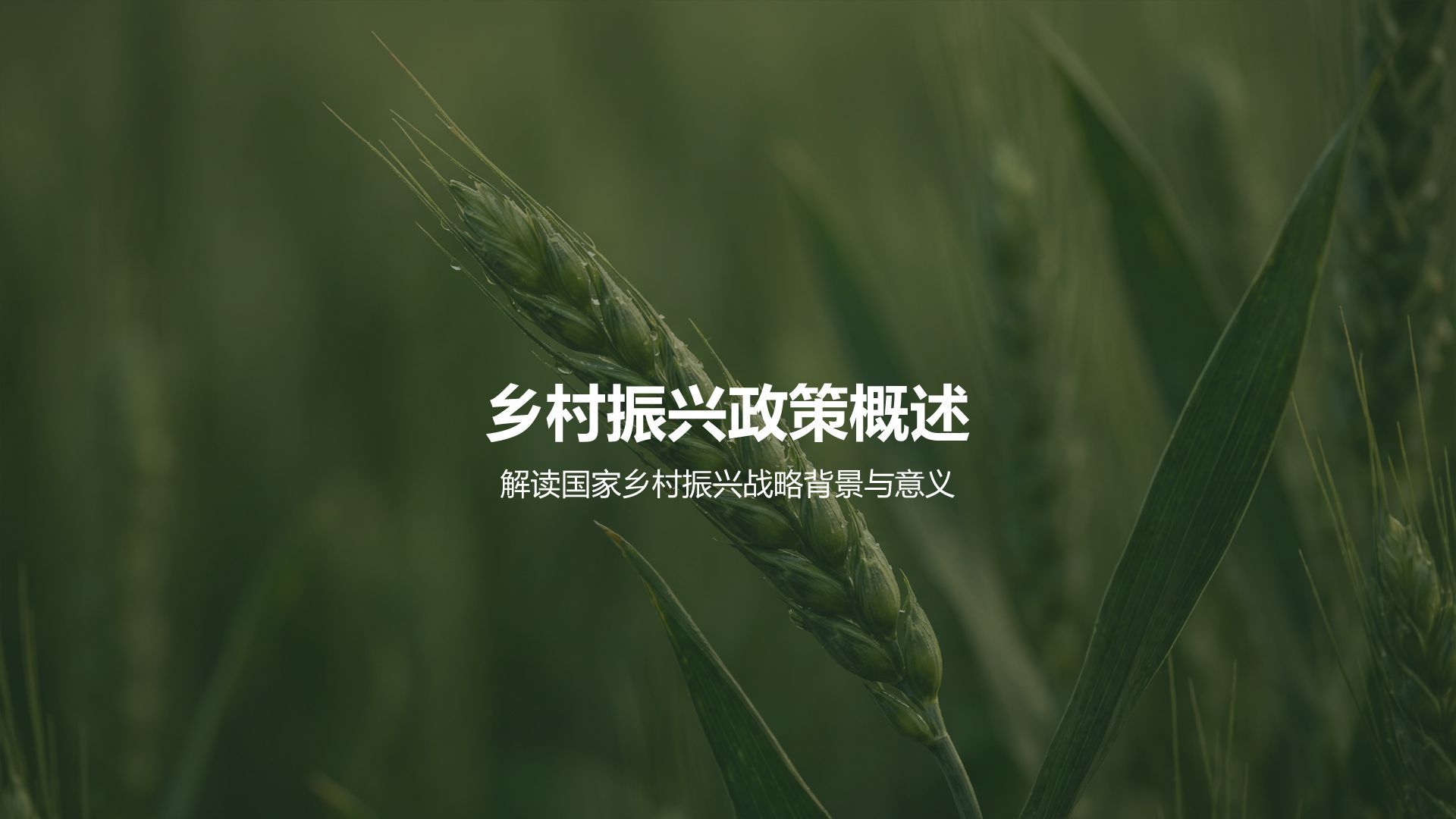 绿色摄影风乡村振兴政策宣讲PPT模板