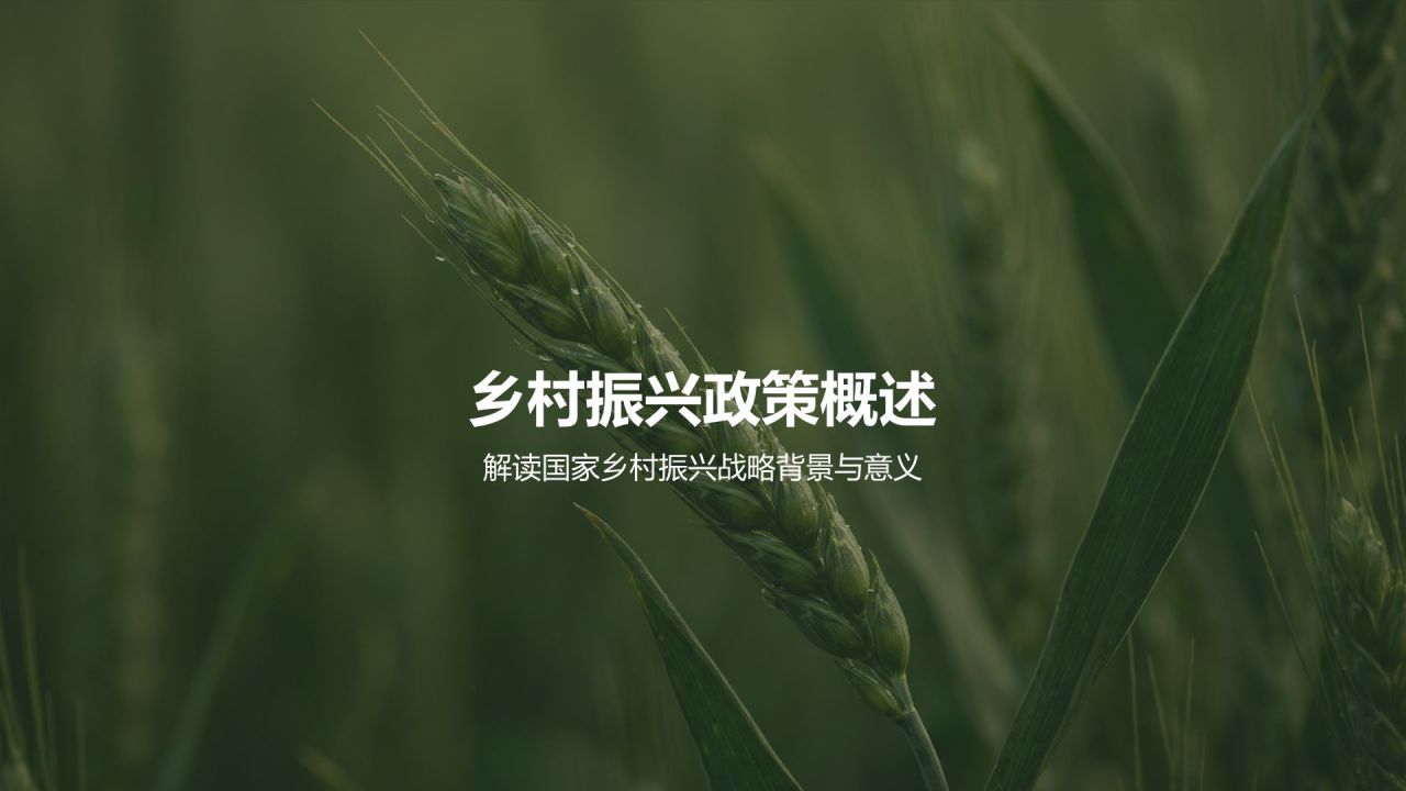 绿色摄影风乡村振兴政策宣讲PPT模板