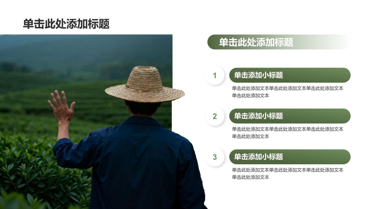 绿色摄影风乡村振兴政策宣讲PPT模板