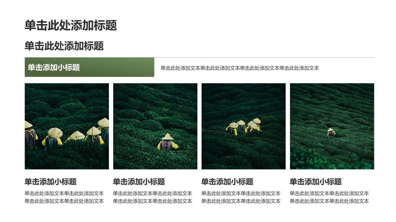 绿色摄影风乡村振兴政策宣讲PPT模板