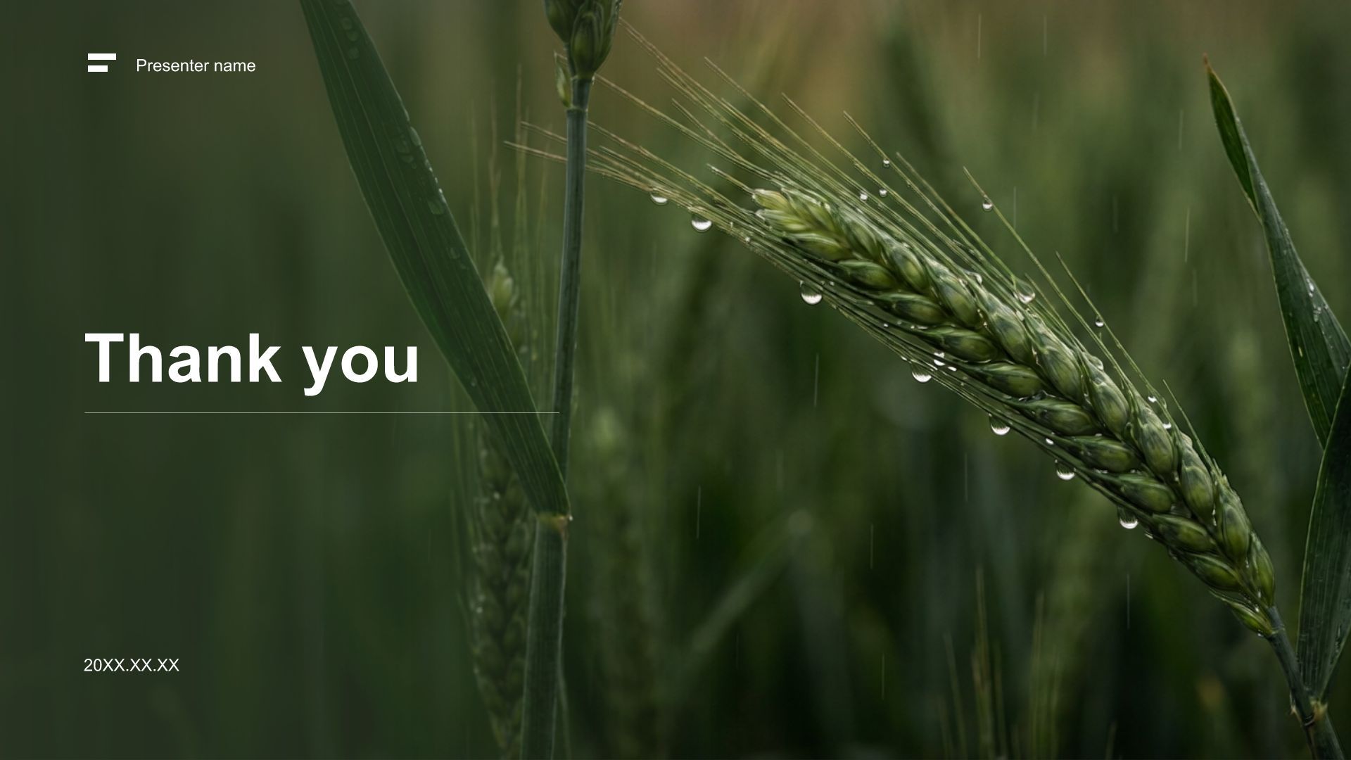 绿色摄影风乡村振兴政策宣讲PPT模板