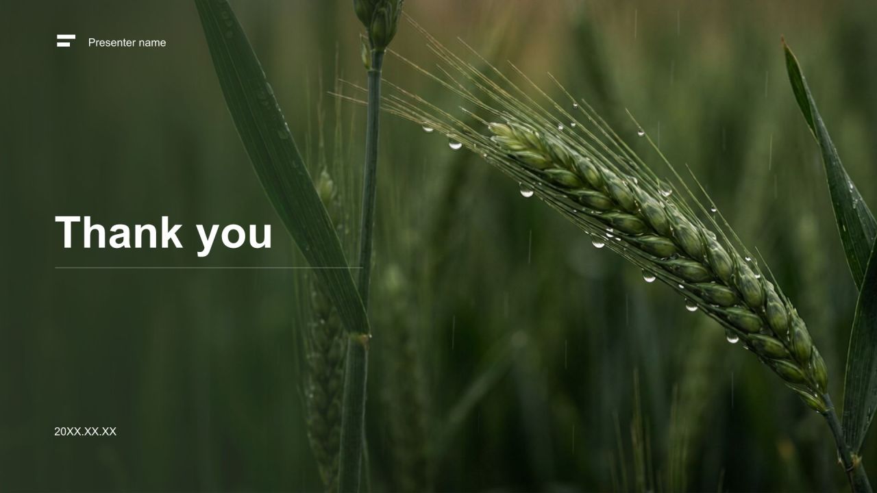 绿色摄影风乡村振兴政策宣讲PPT模板