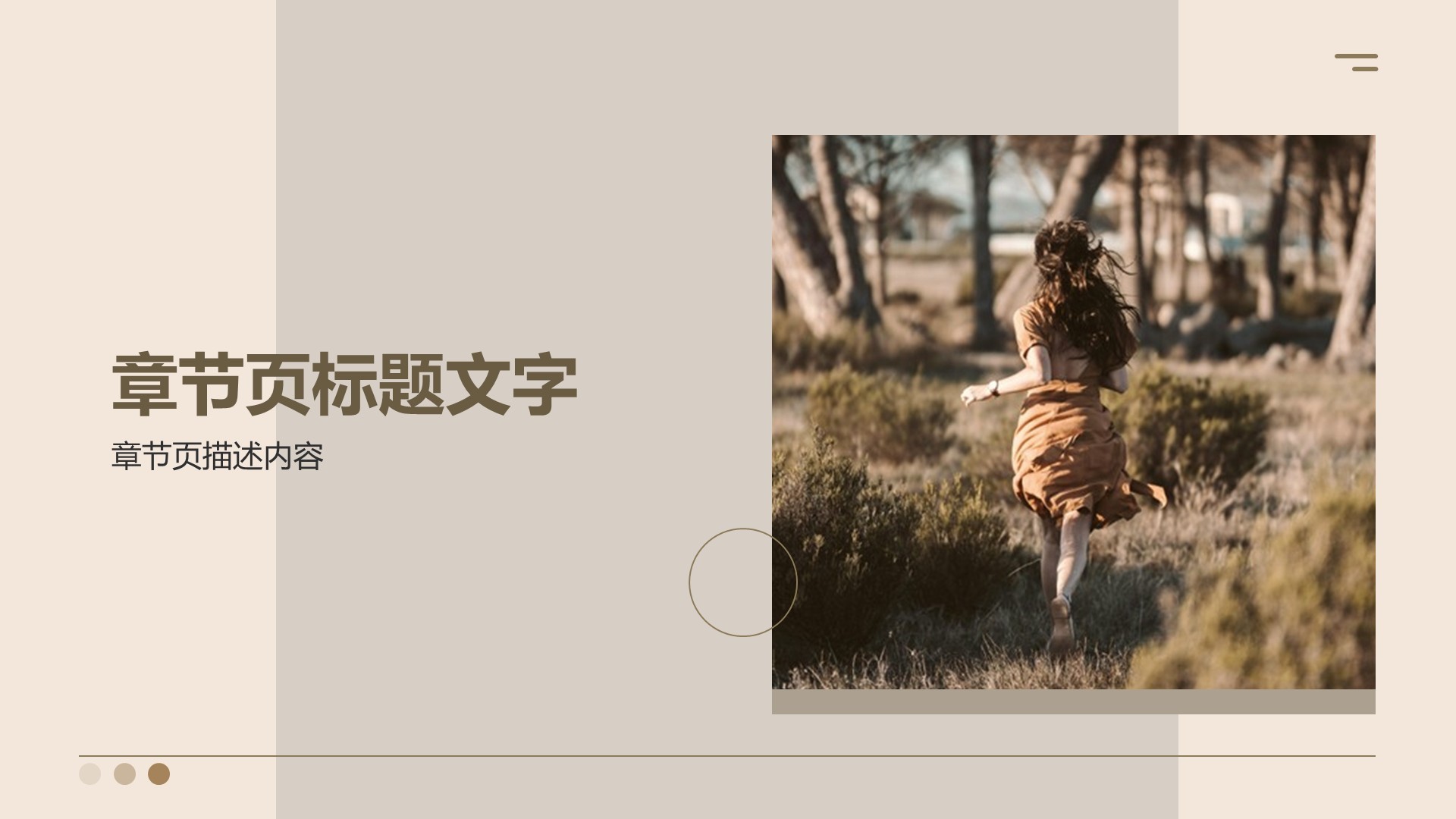 市场品牌商业计划书PPT主题