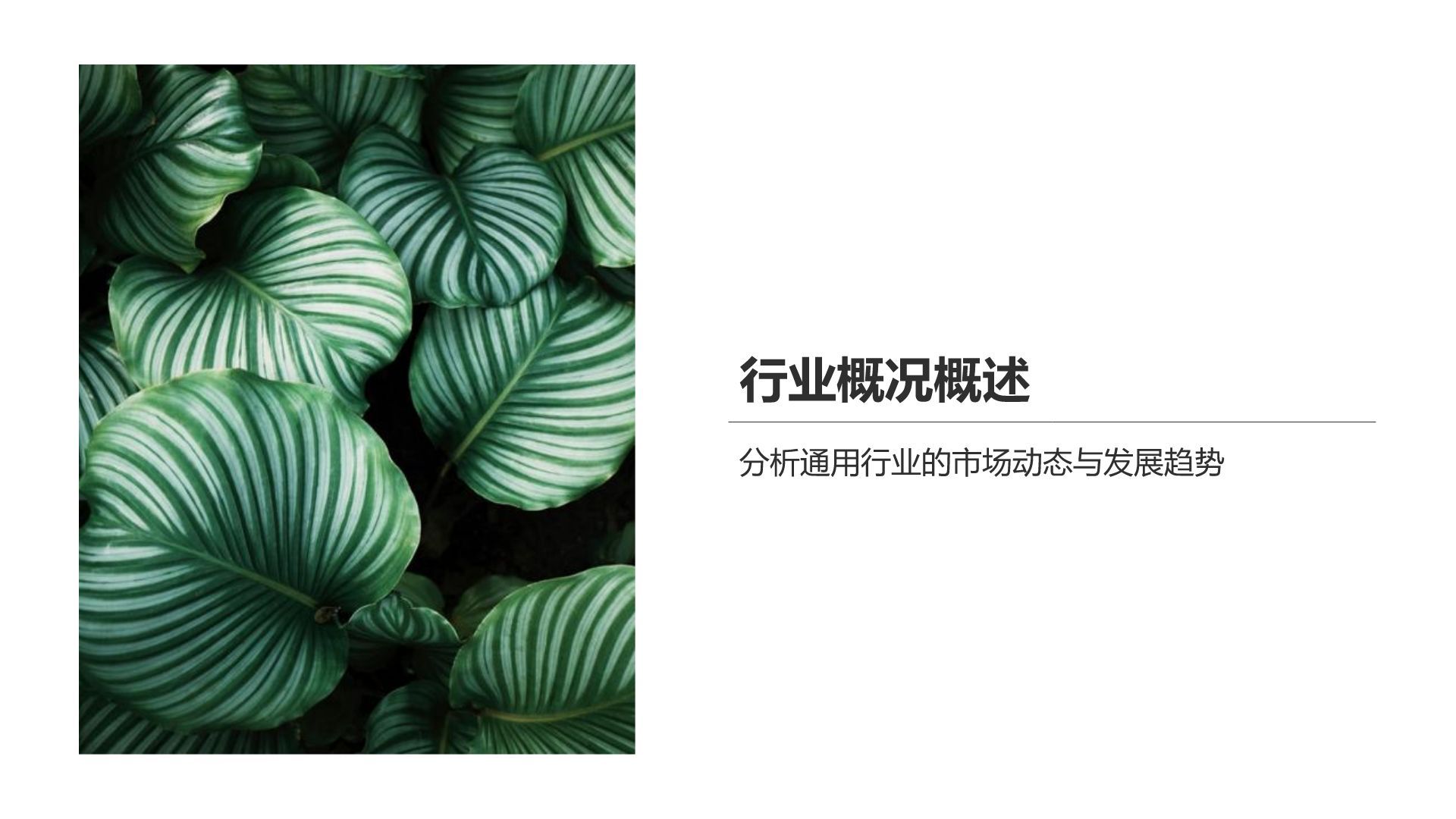 绿色简约风清新简约风PPT模板