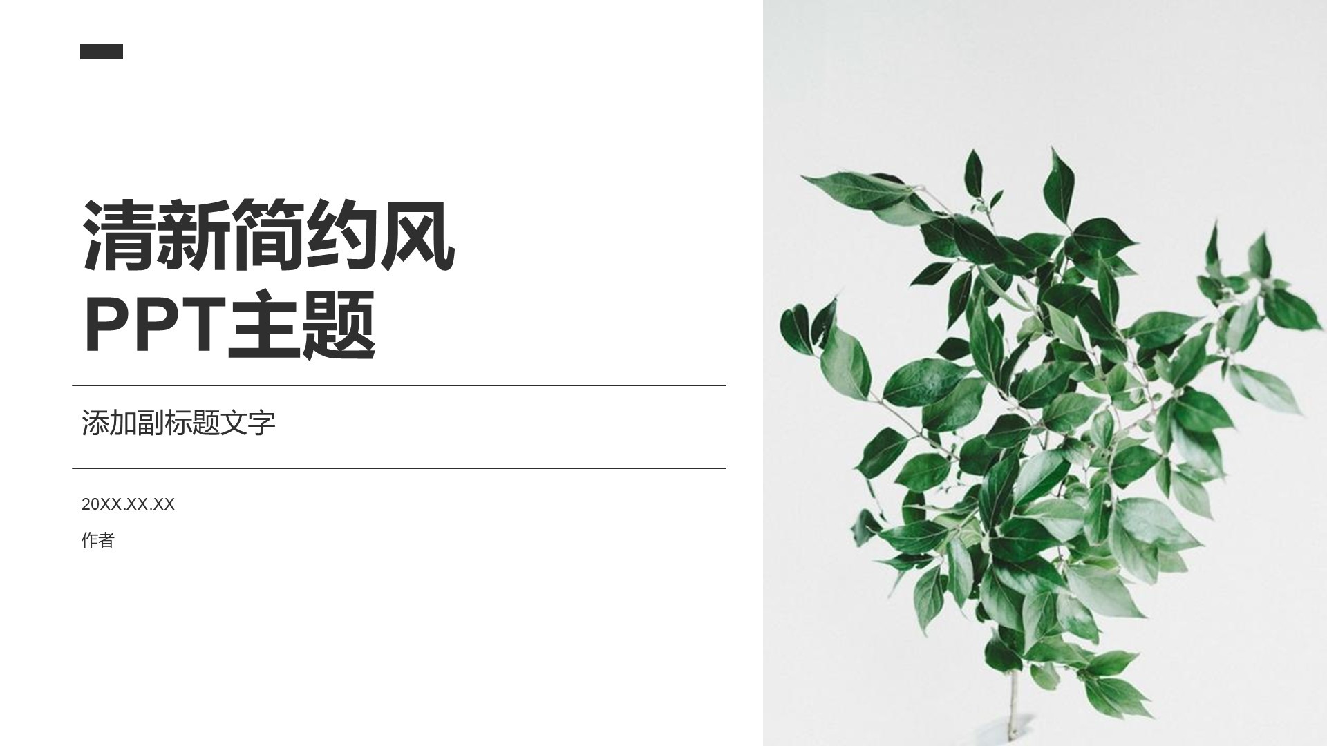 清新简约风PPT主题