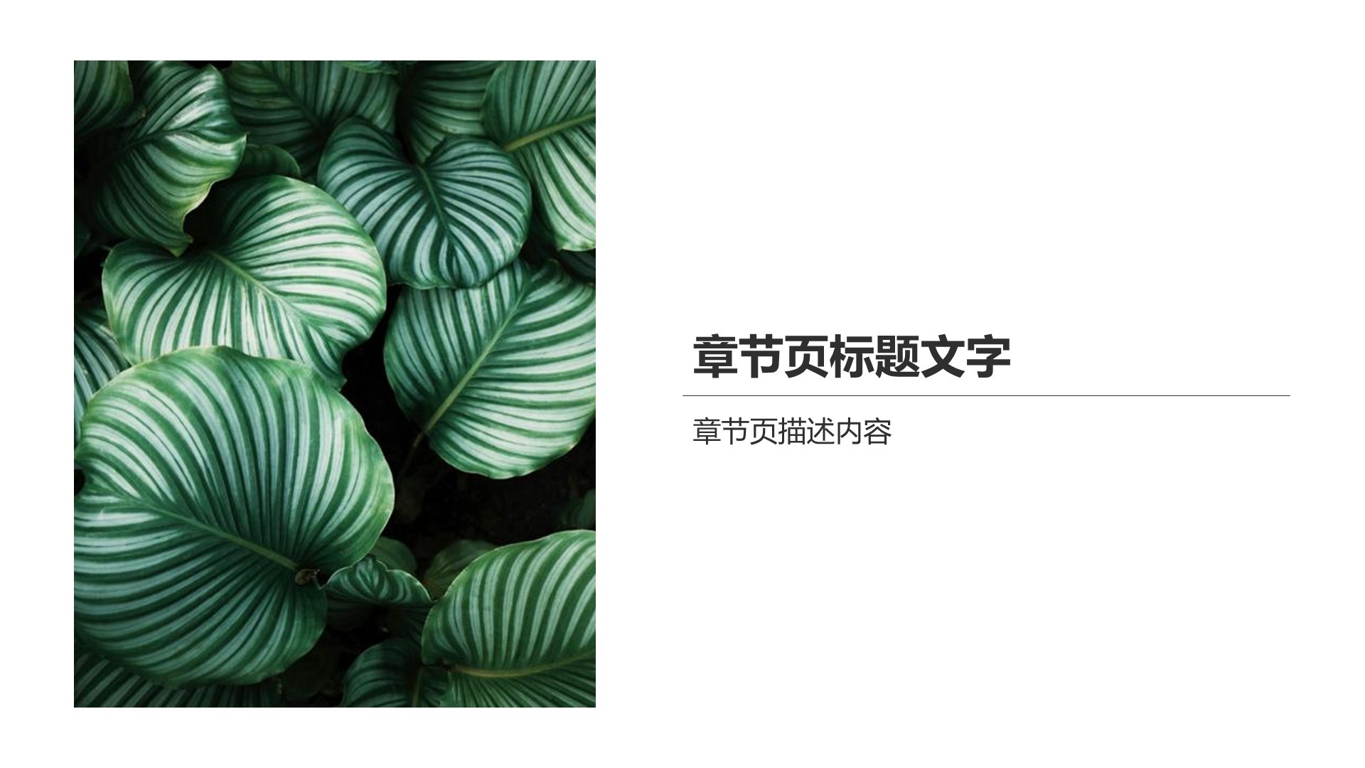 清新简约风PPT主题