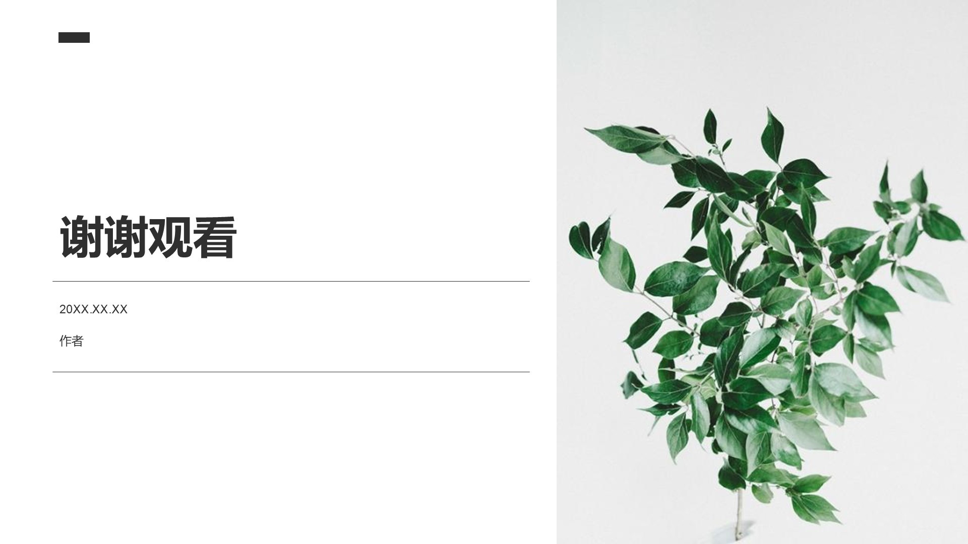 清新简约风PPT主题