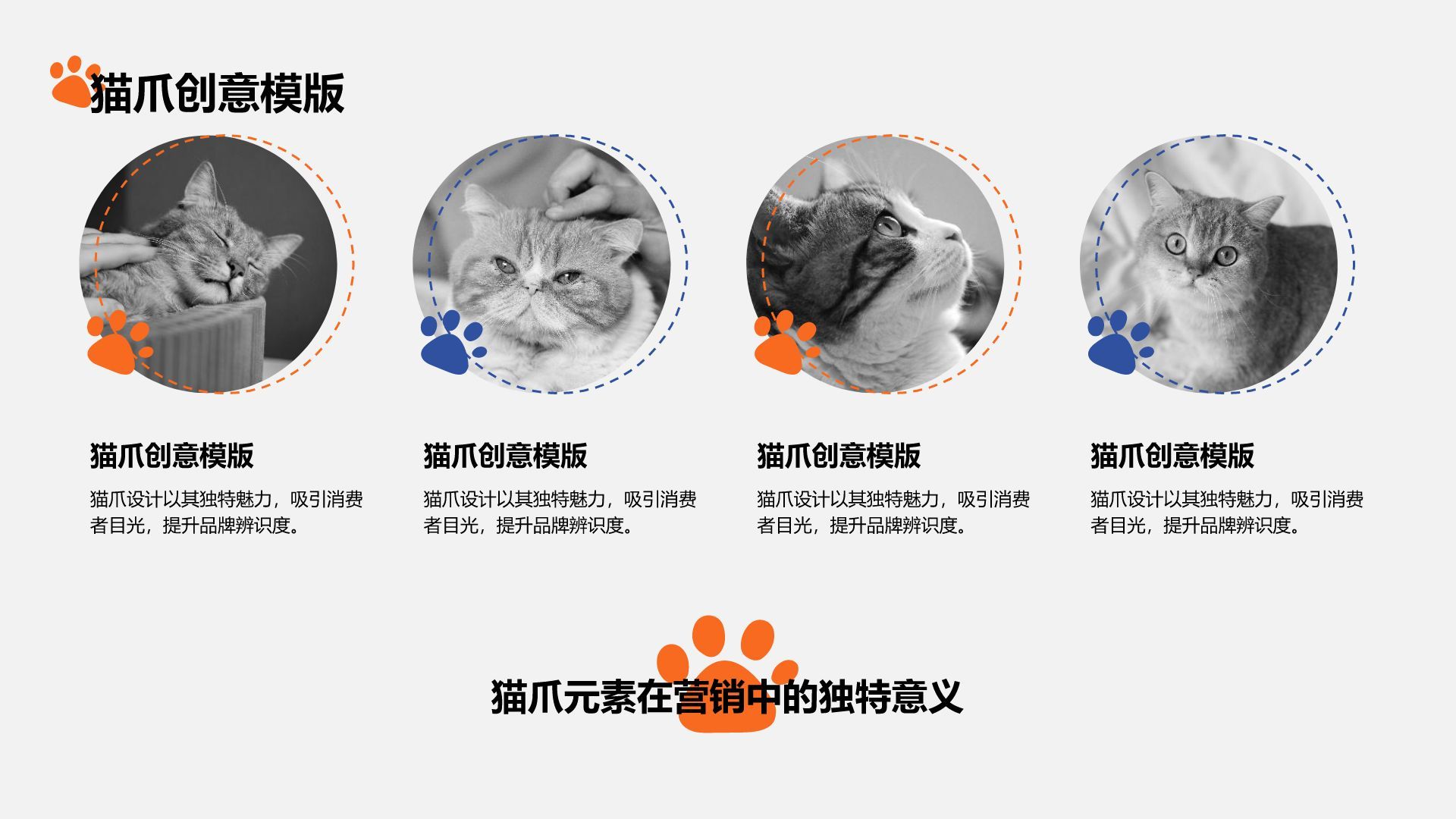 橙色卡通风猫爪创意PPT模板