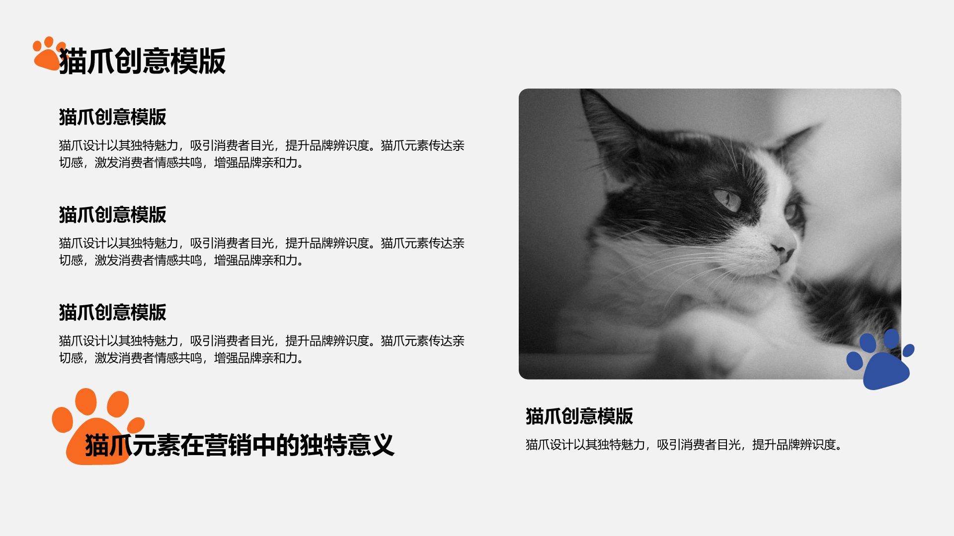 橙色卡通风猫爪创意PPT模板