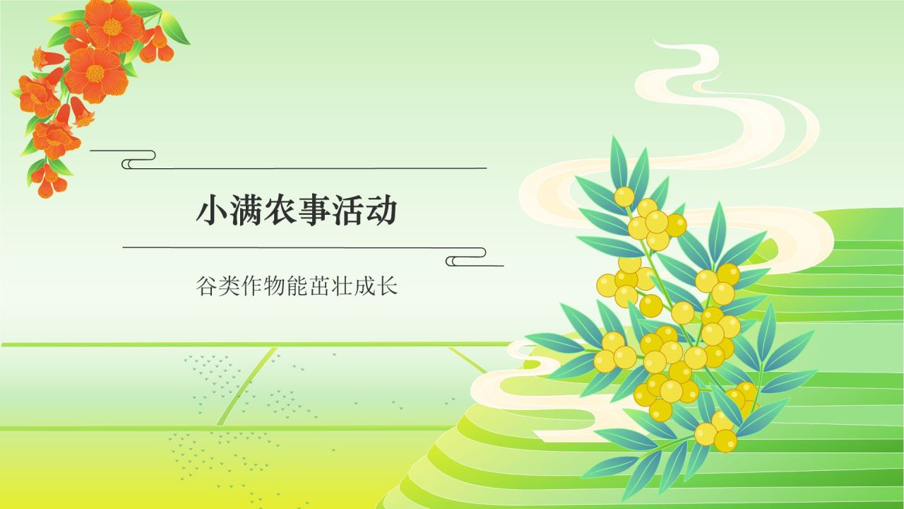 绿色国潮风二十四节气——小满 PPT模板
