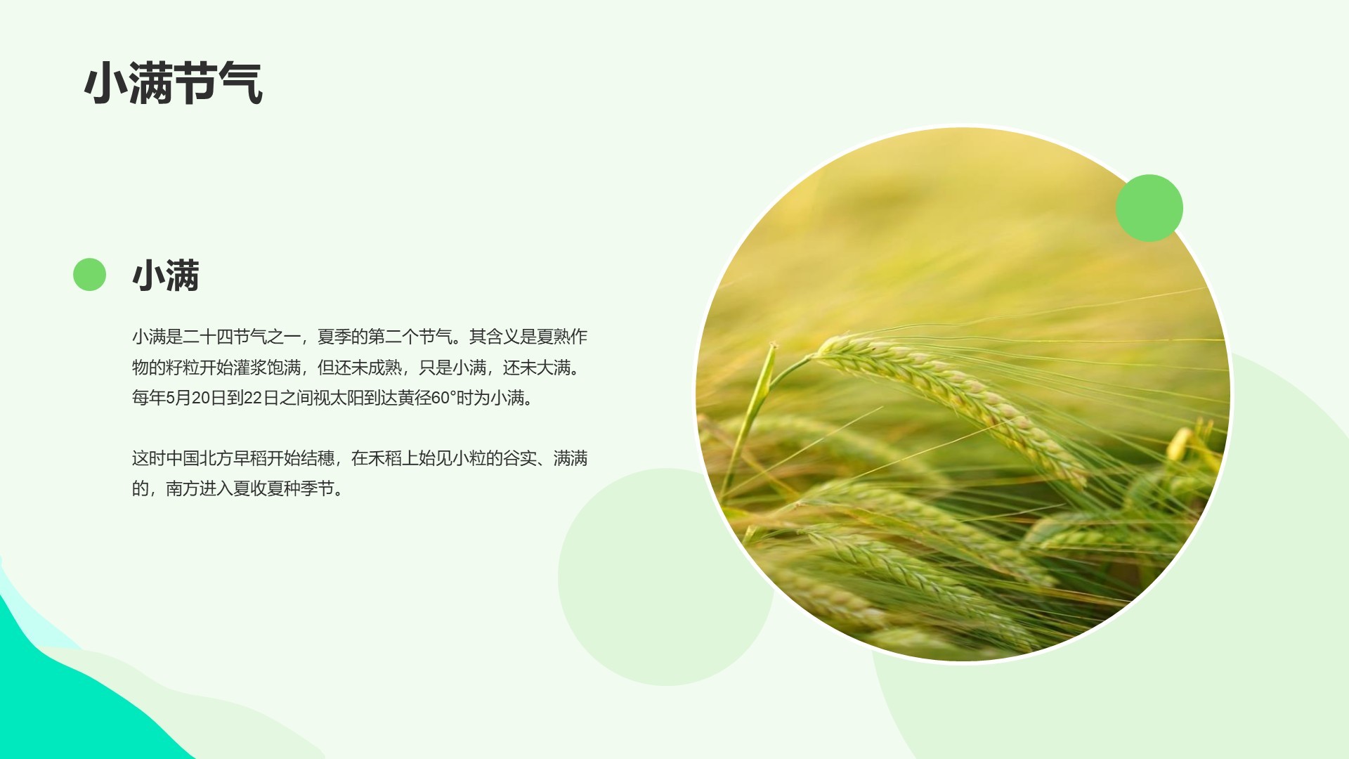 绿色插画风科普培训课件PPT主题