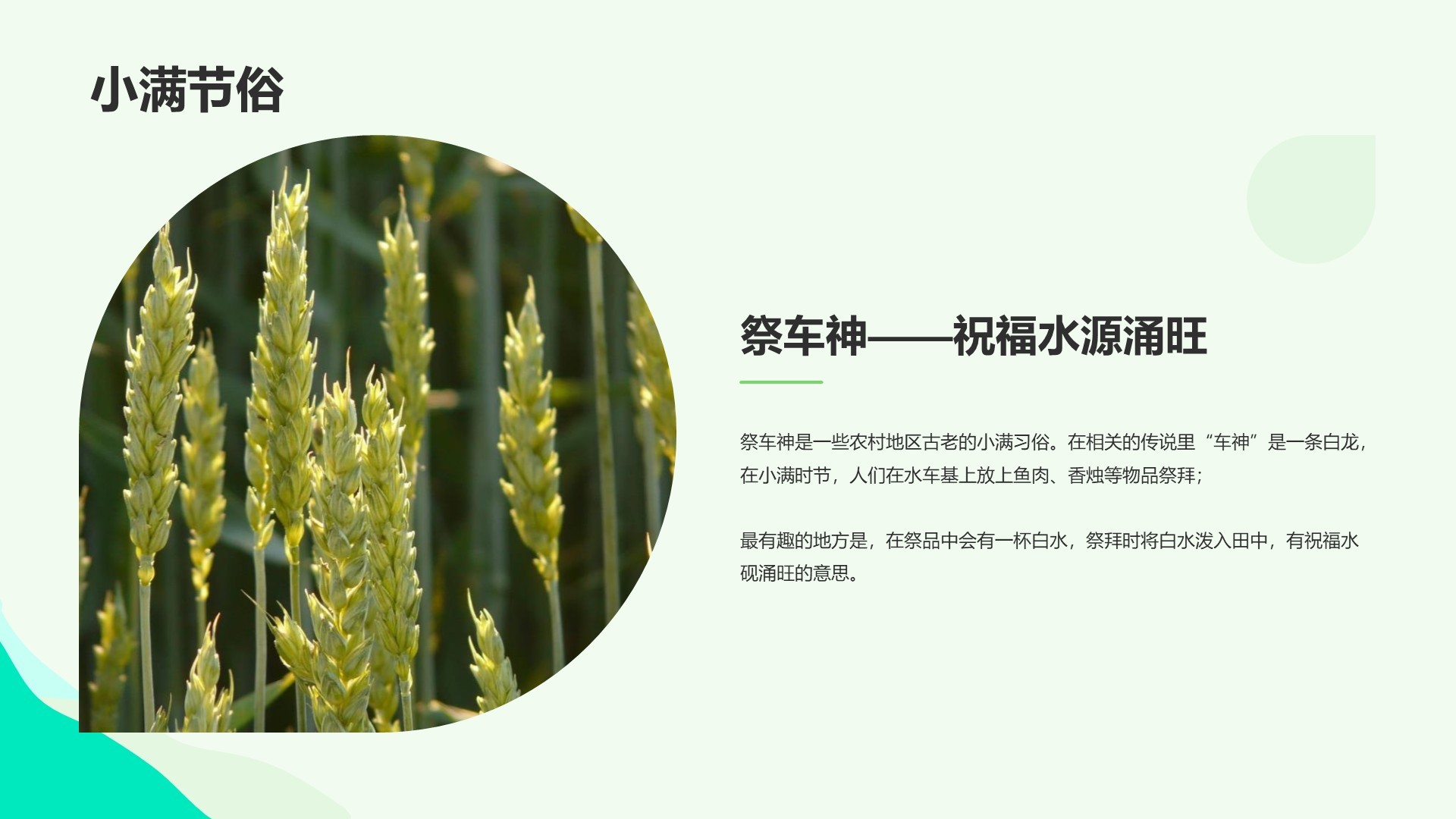 绿色插画风科普培训课件PPT主题