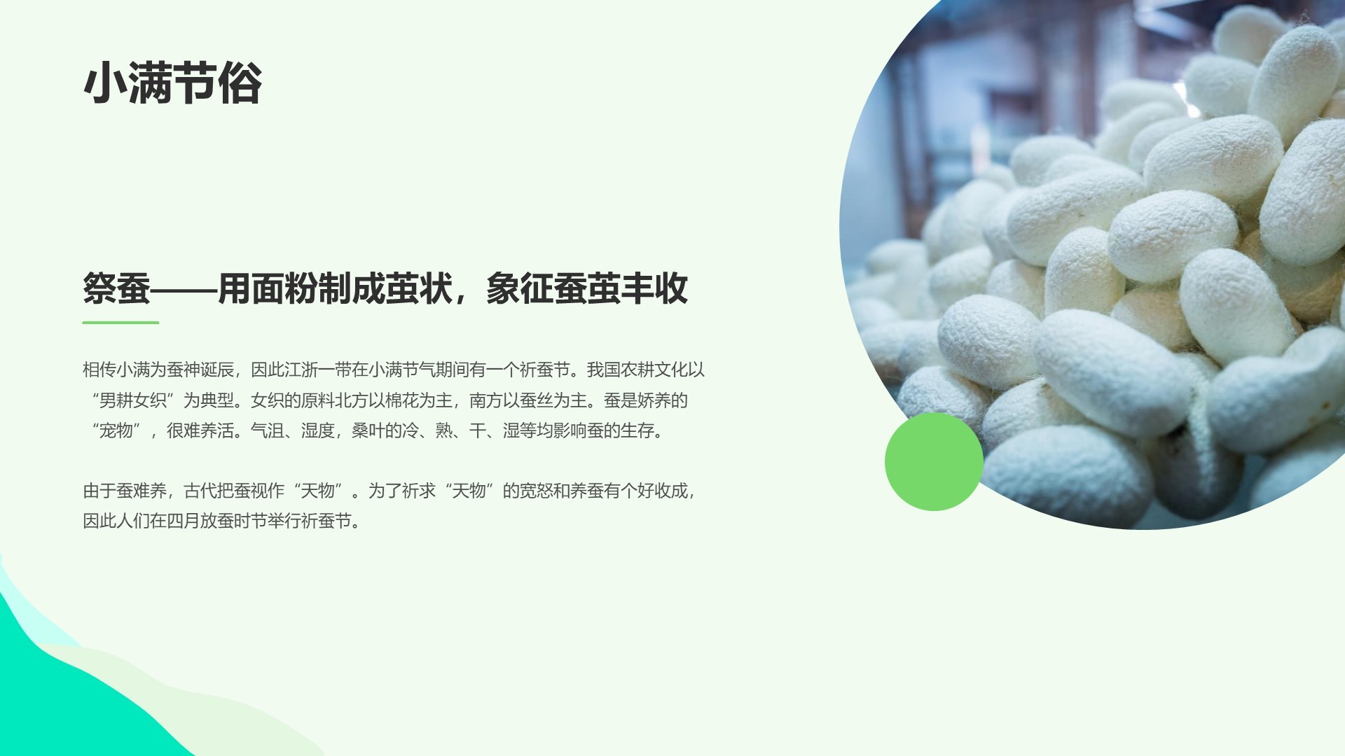绿色插画风科普培训课件PPT主题