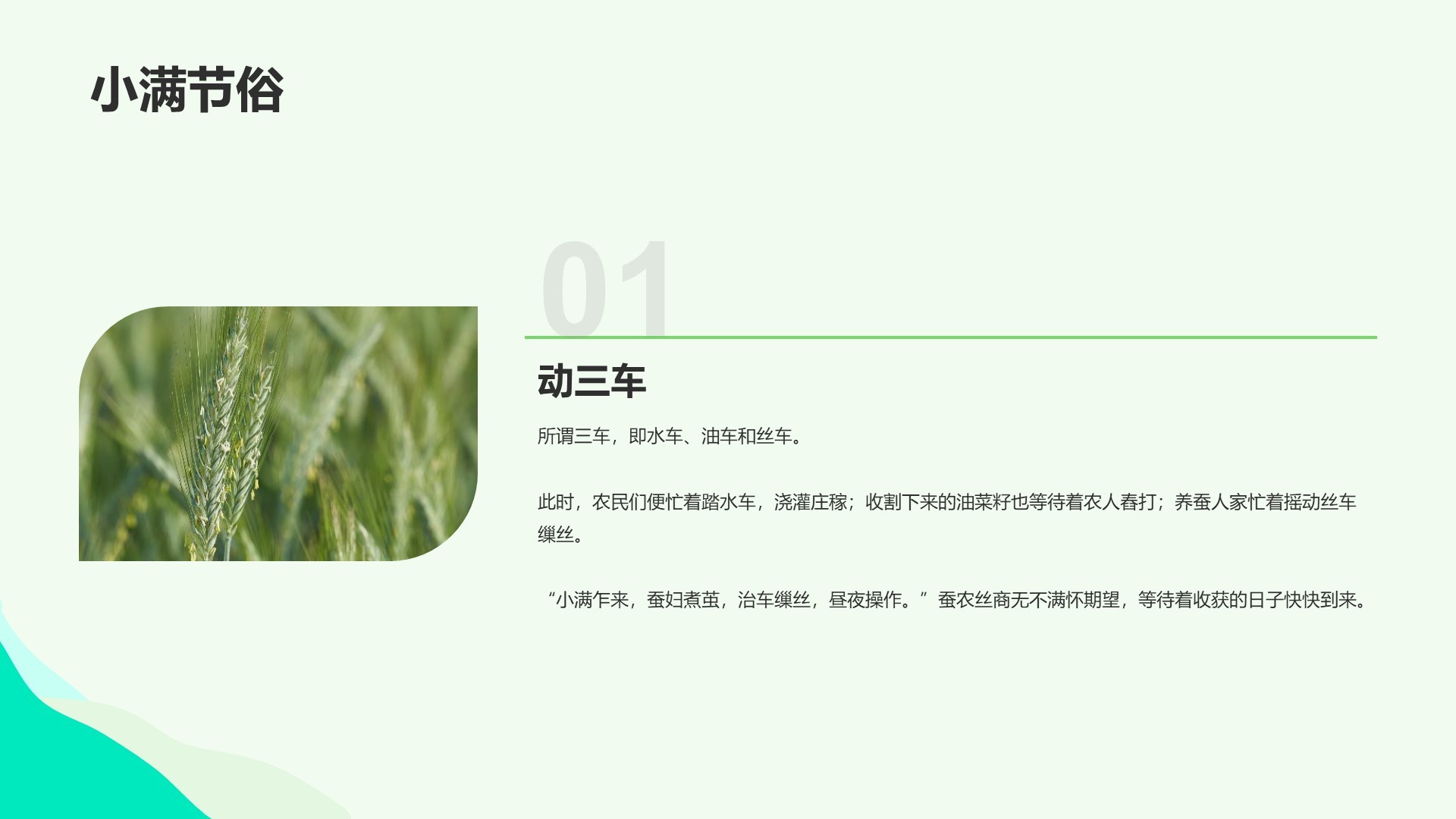 绿色插画风科普培训课件PPT主题