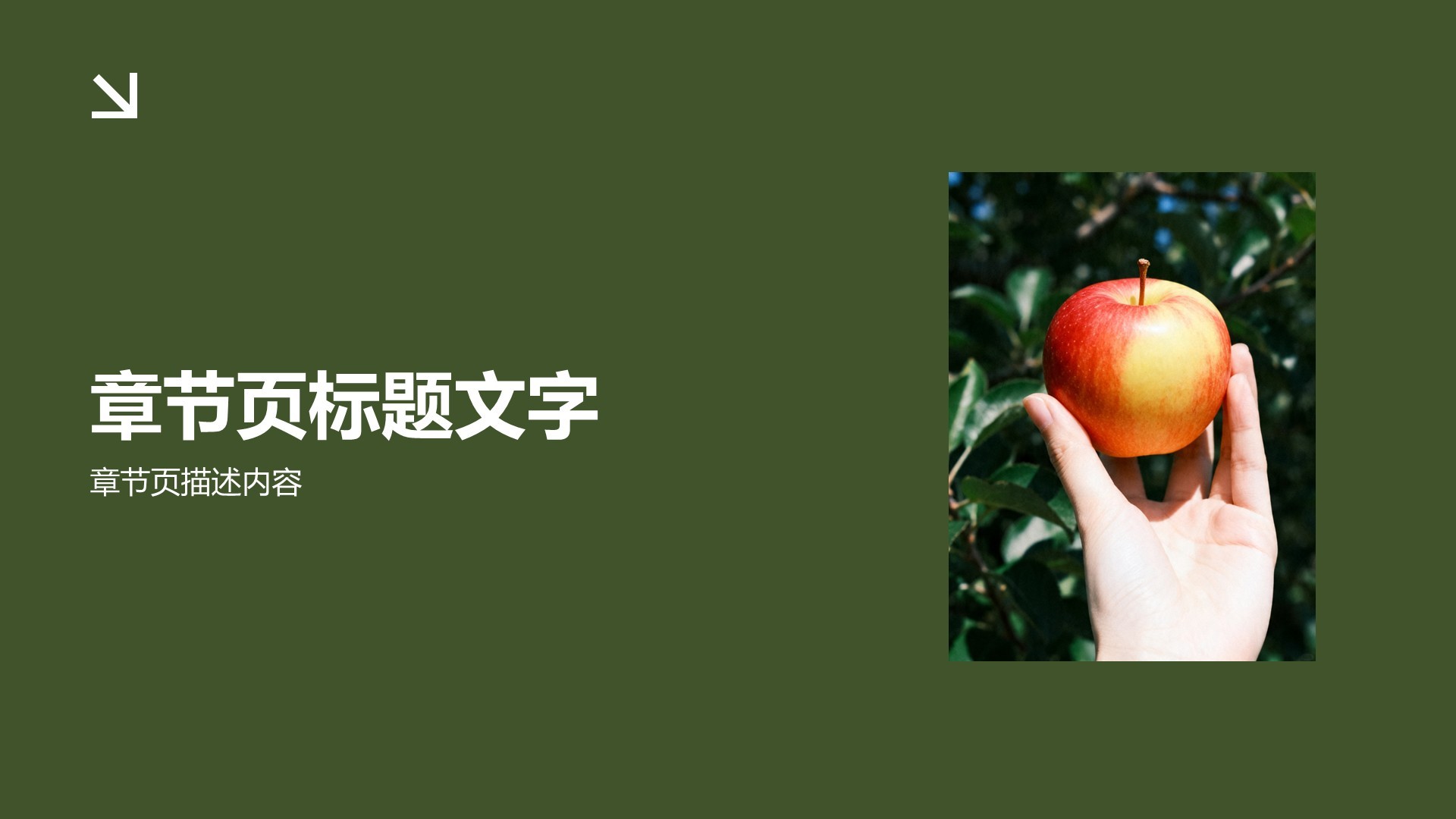 绿色摄影风我的家乡PPT主题