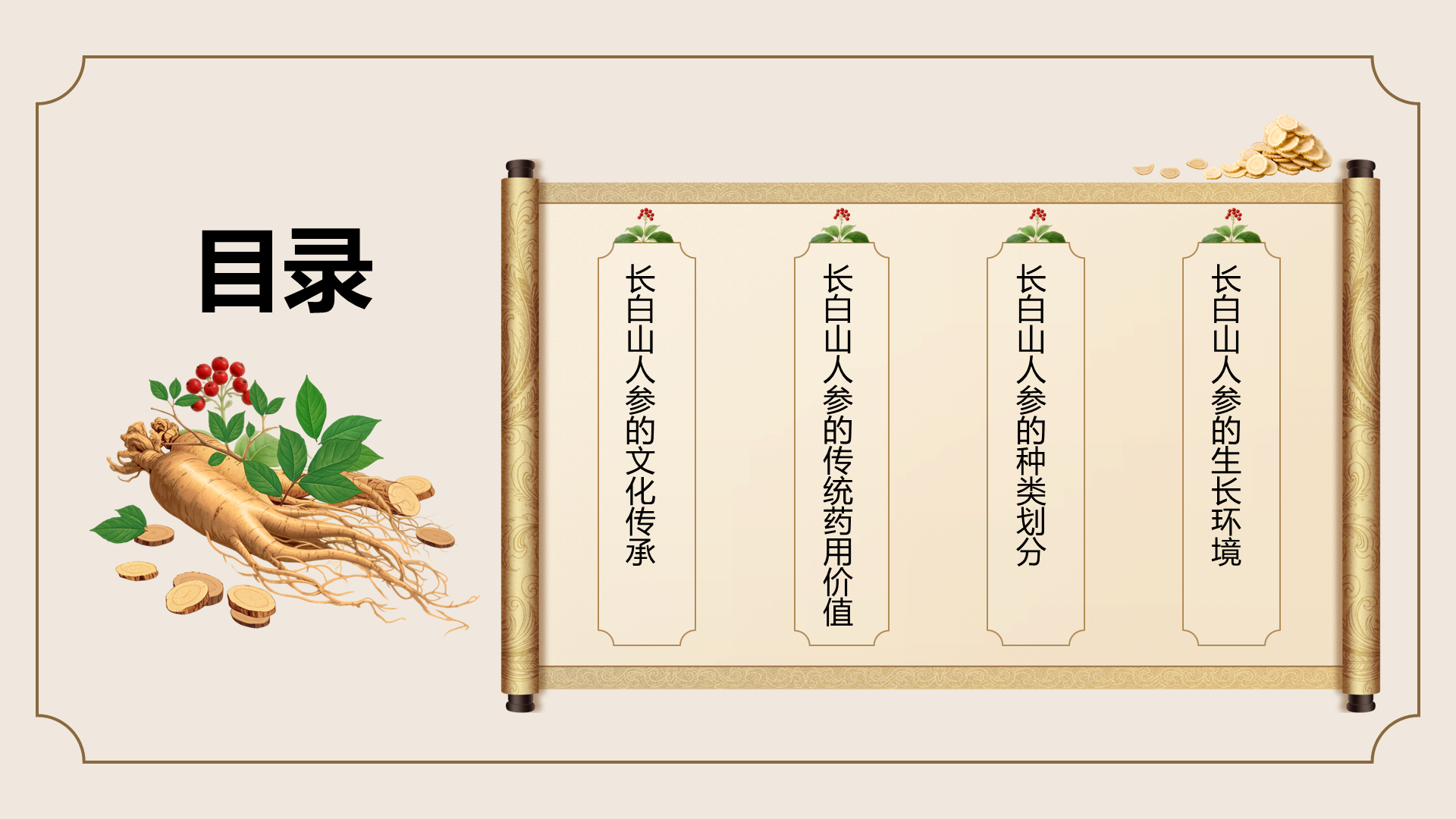 橙色国潮风长白山人参科普