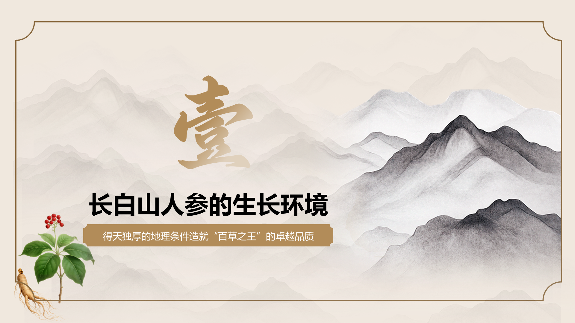 橙色国潮风长白山人参科普
