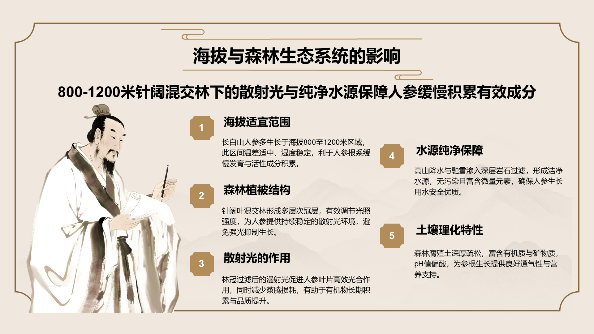 橙色国潮风长白山人参科普