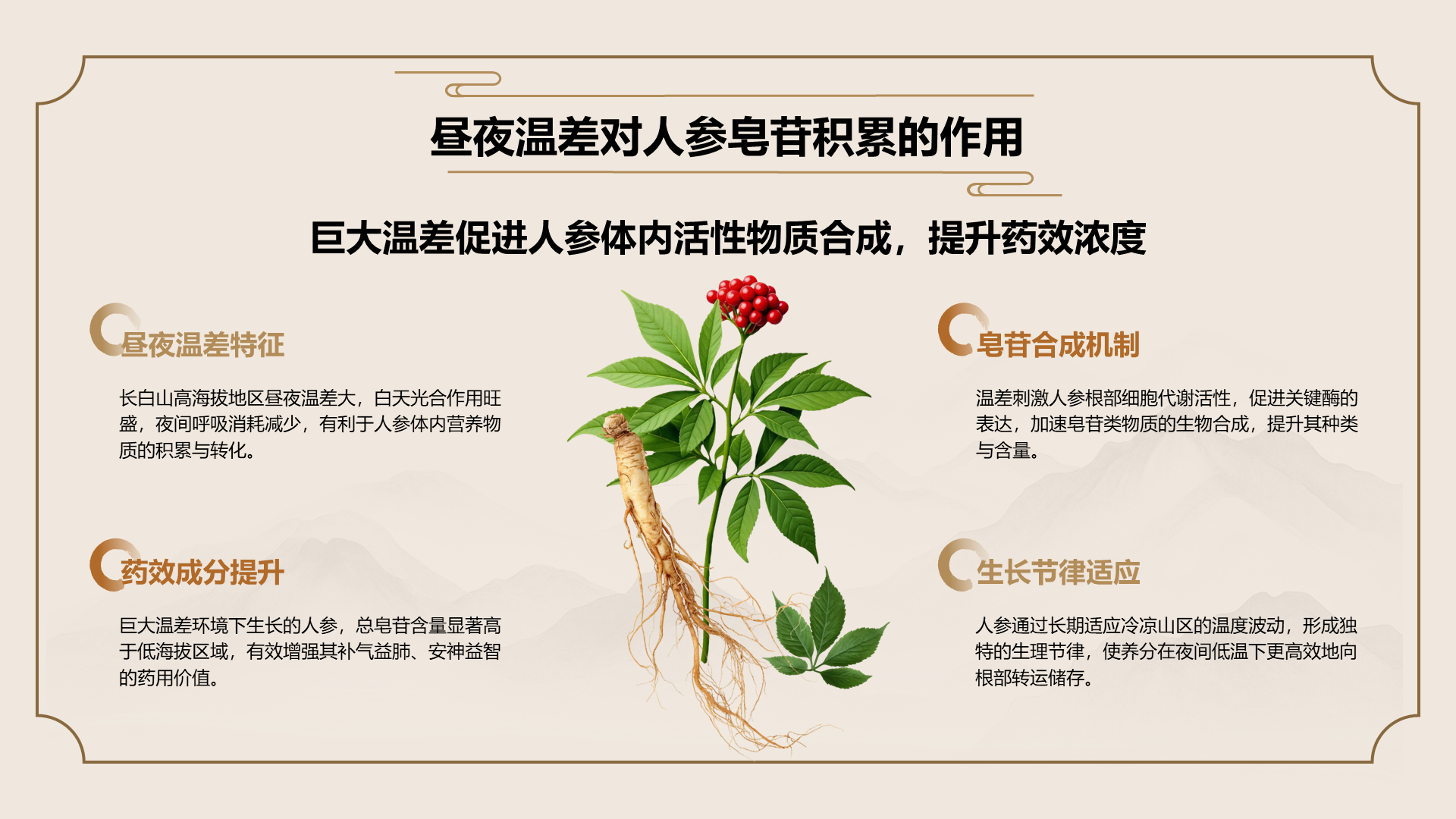橙色国潮风长白山人参科普