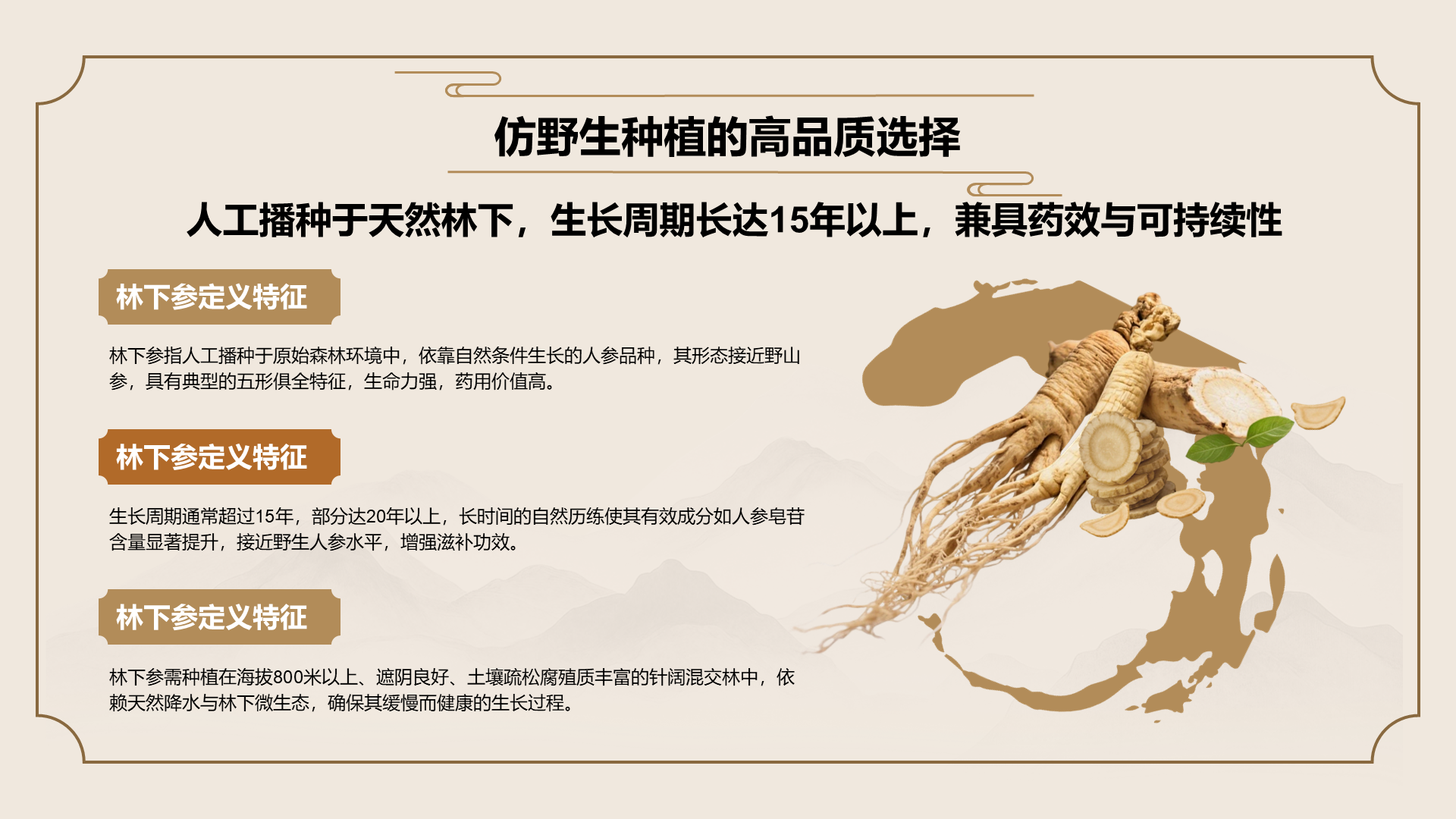 橙色国潮风长白山人参科普